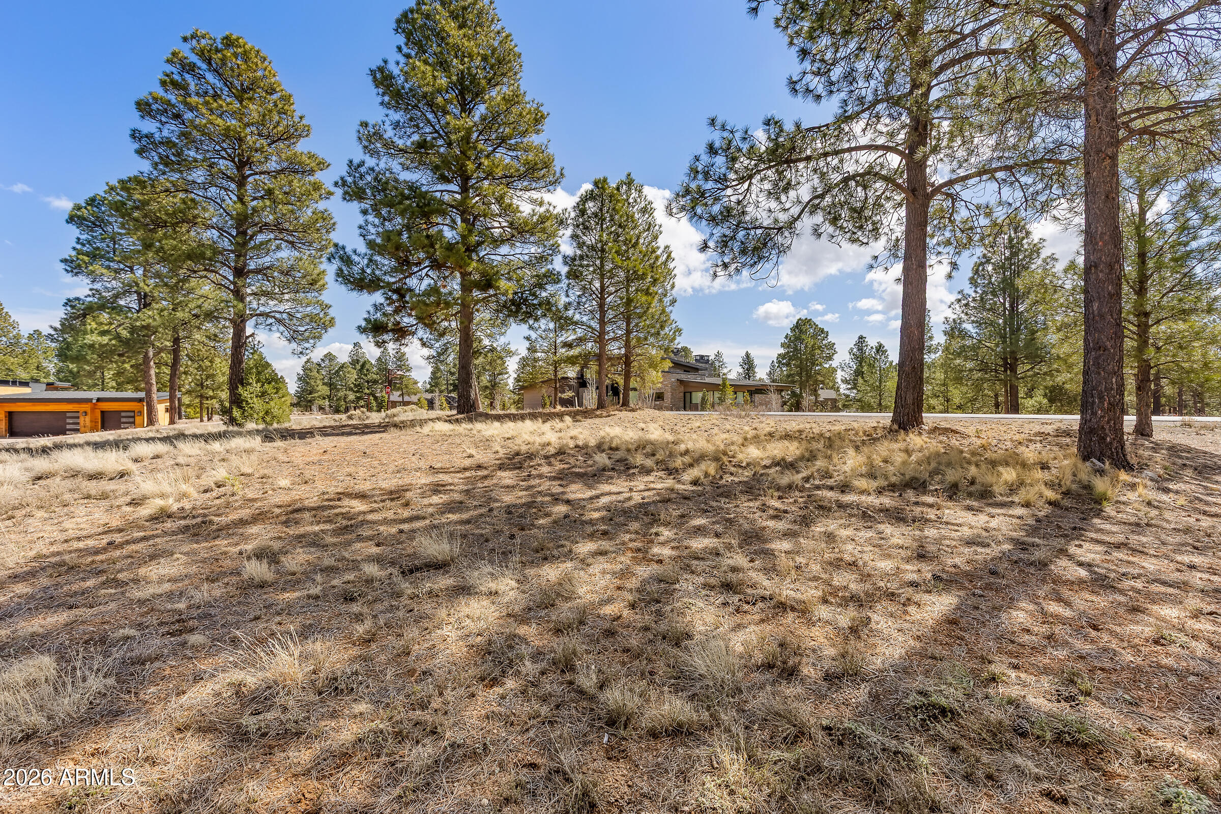Pine Canyon - Land