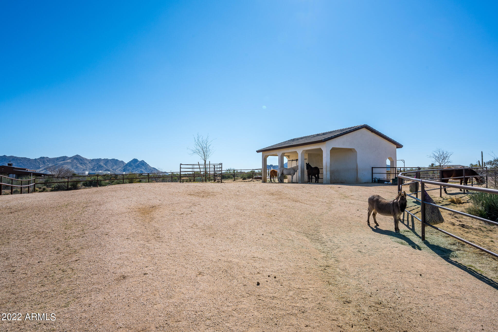 GOLDIE BROWN PINNACLE PEAK RANCH - Residential