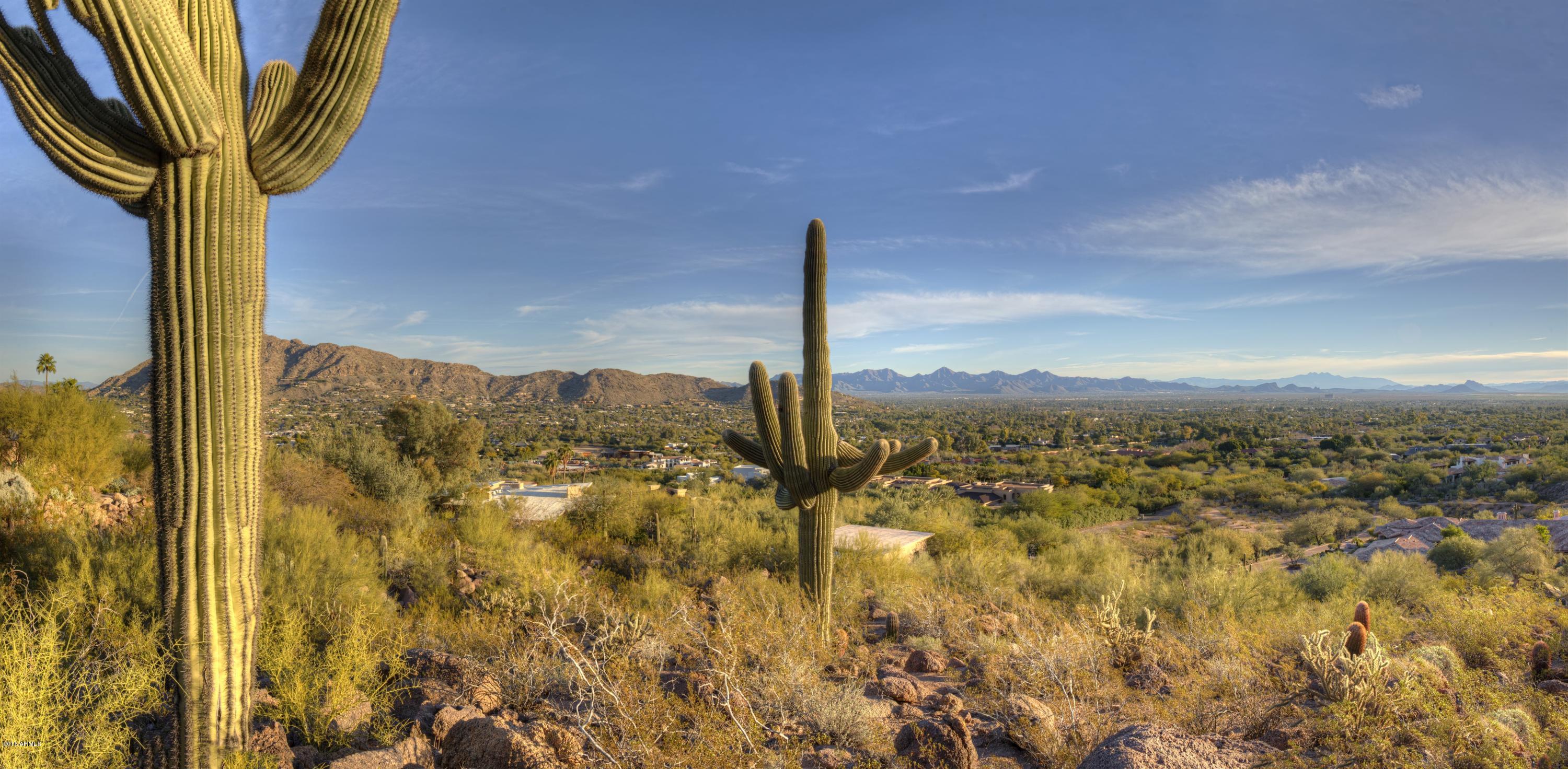 CAMELDALE PROPERTIES - Land