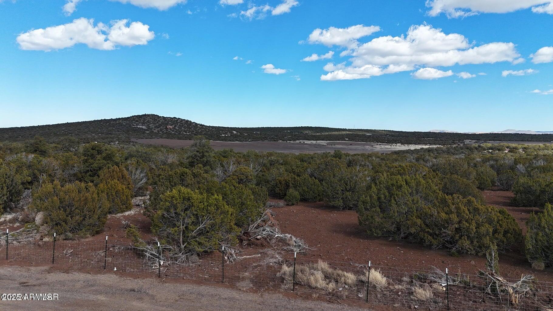 SHOW LOW PINES UNIT 1 - Land