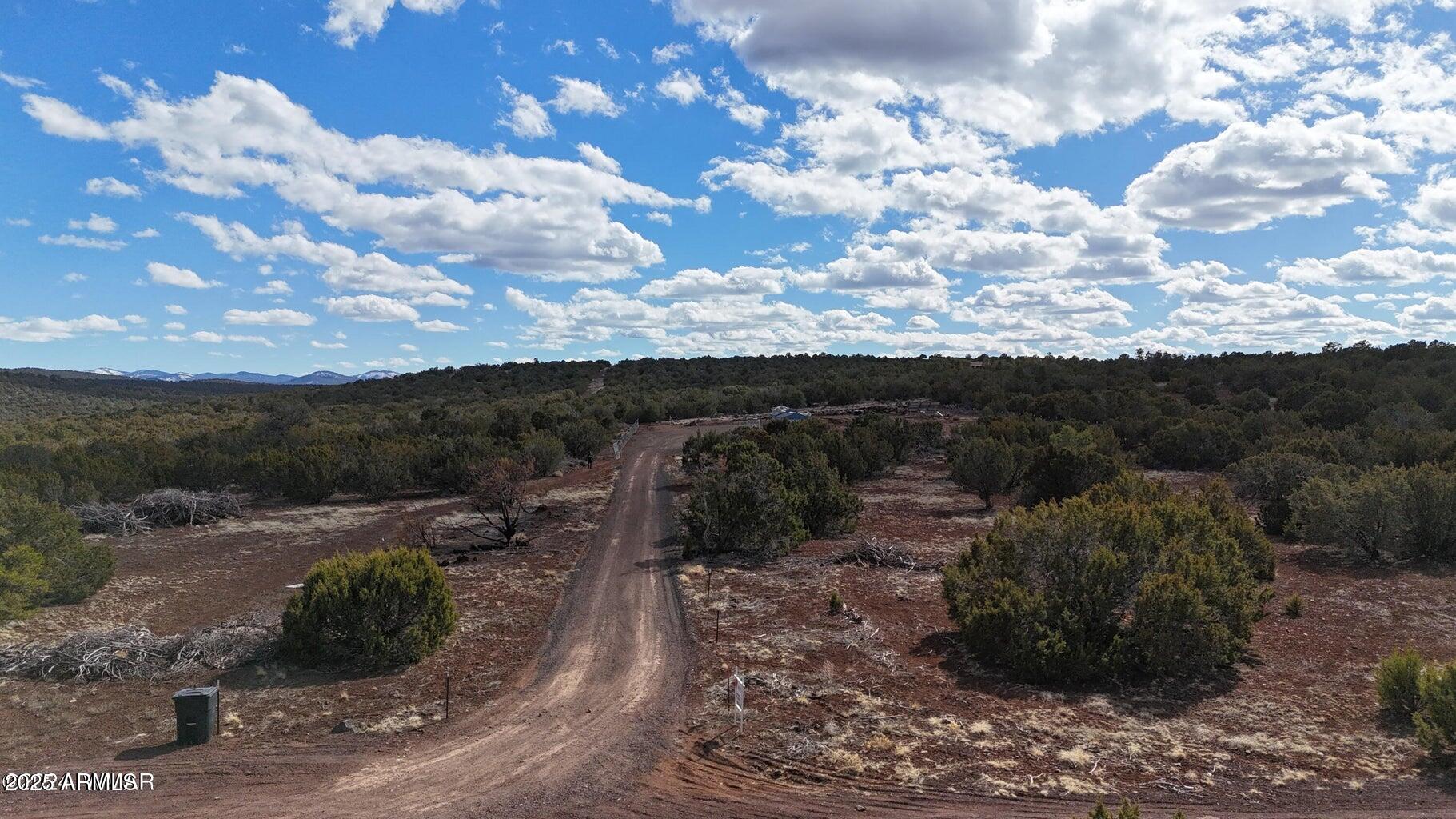 SHOW LOW PINES UNIT 1 - Land