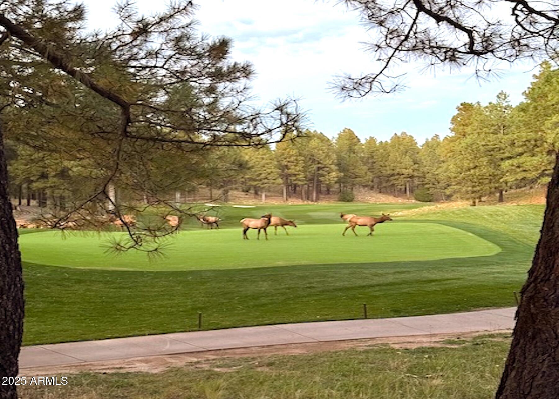 ESTATES AT PINE CANYON 2 - Residential