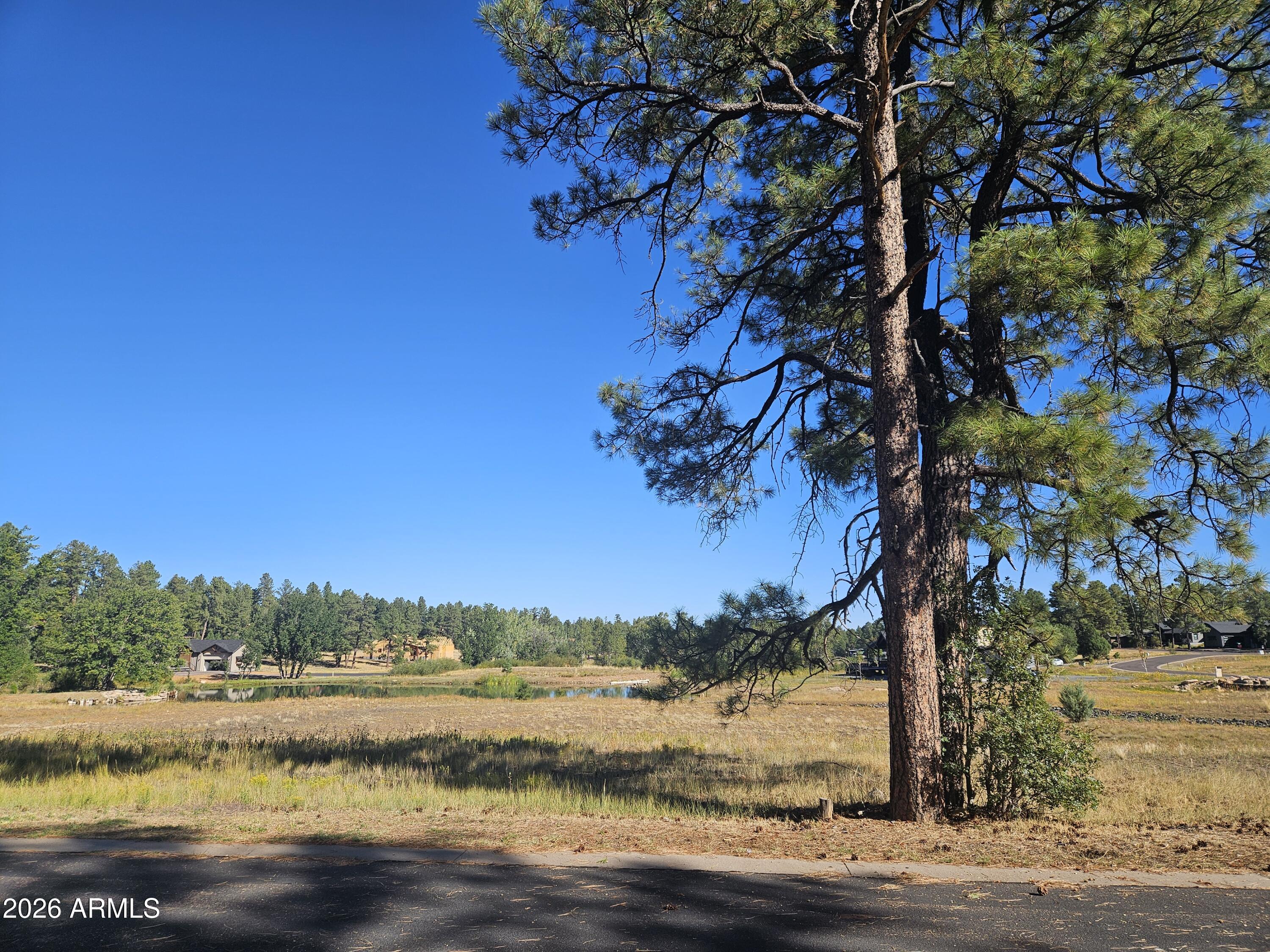 Torreon Lakes - Residential
