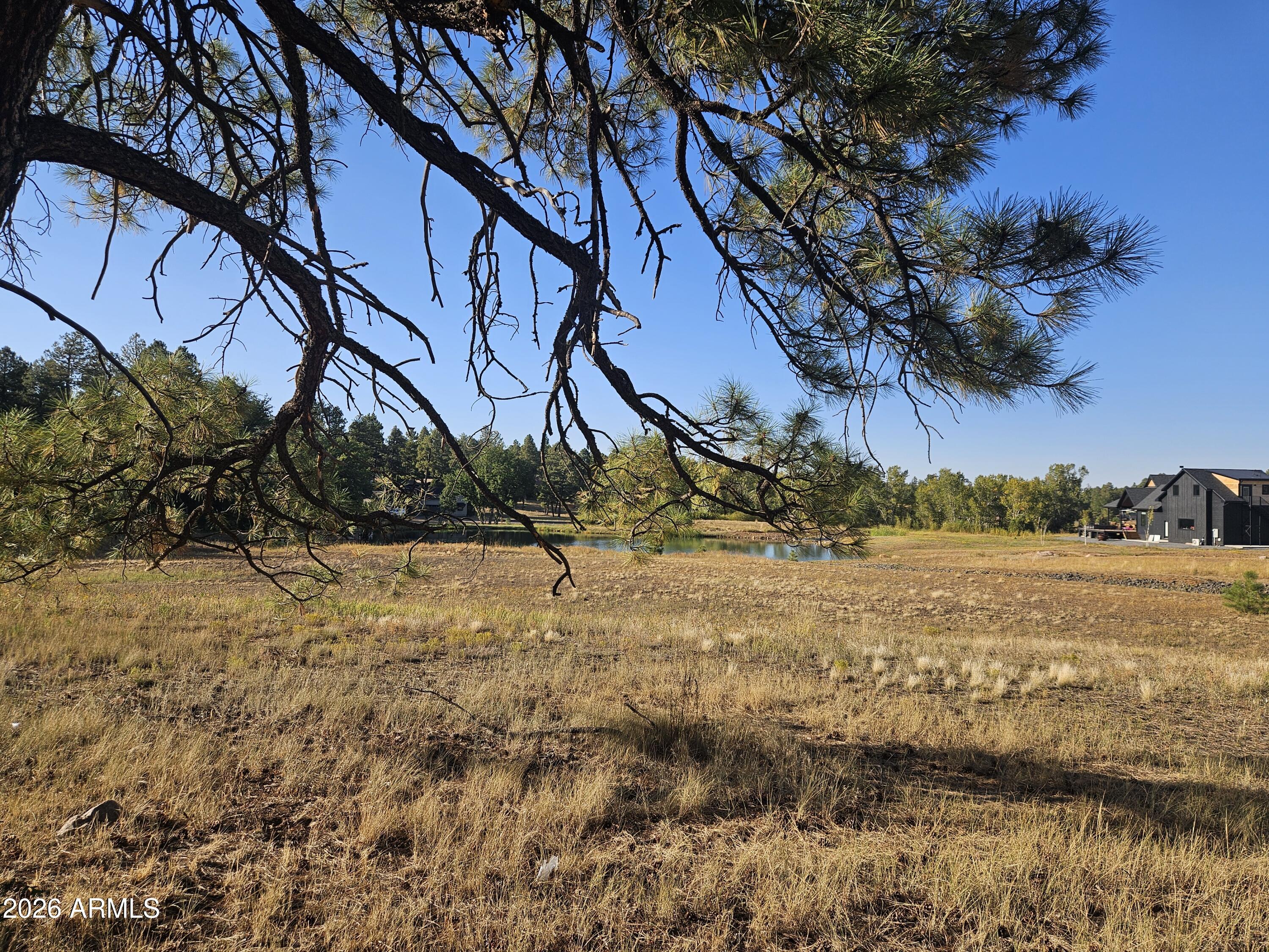 Torreon Lakes - Residential