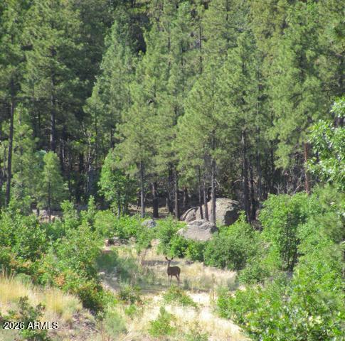ESCALANTE AT WILLIAMS MOUNTAIN PHASE 1 - Land