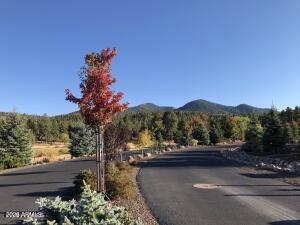 ESCALANTE AT WILLIAMS MOUNTAIN PHASE 1 - Land