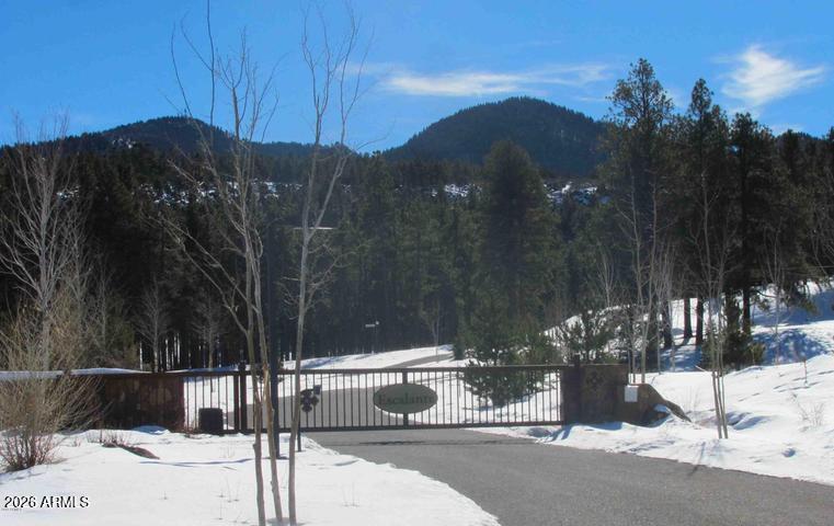 ESCALANTE AT WILLIAMS MOUNTAIN PHASE 1 - Land