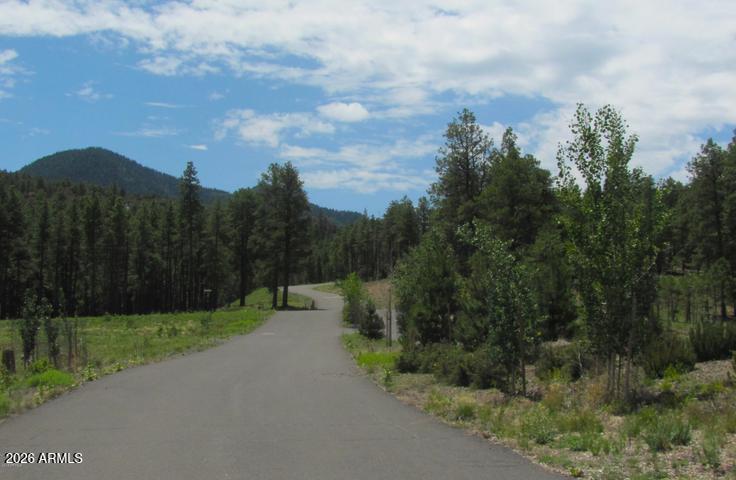 ESCALANTE AT WILLIAMS MOUNTAIN PHASE 1 - Land