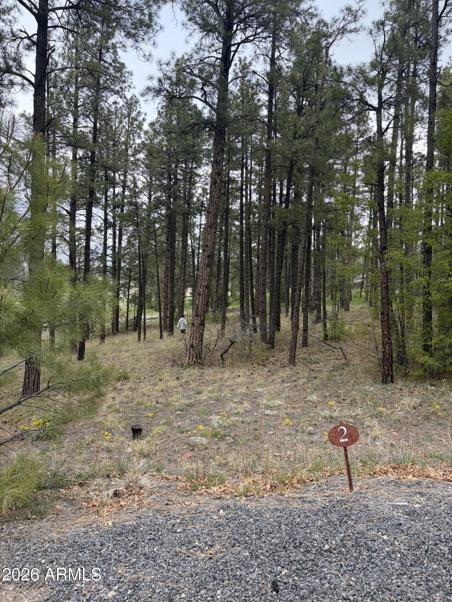 ESCALANTE AT WILLIAMS MOUNTAIN PHASE 1 - Land
