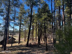ESCALANTE AT WILLIAMS MOUNTAIN PHASE 1 - Land