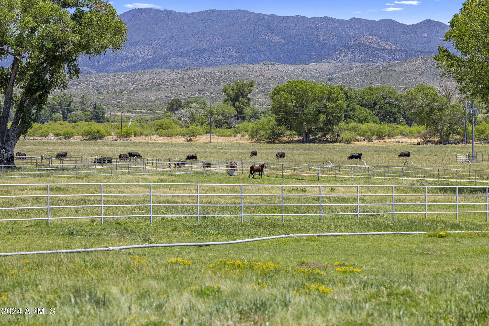 Four Cross Ranch - Residential