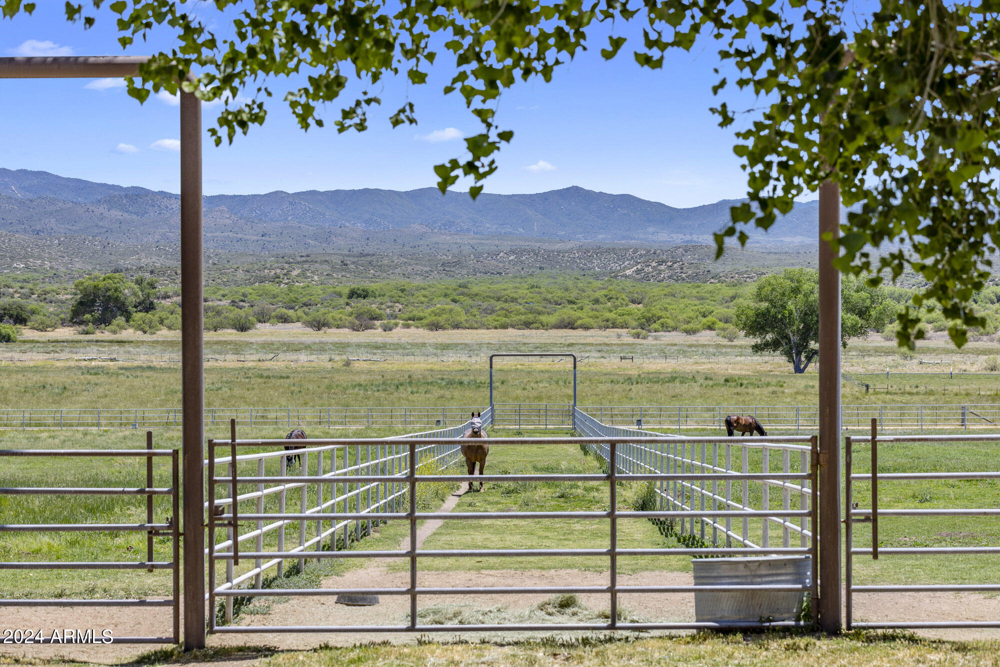 Four Cross Ranch - Residential