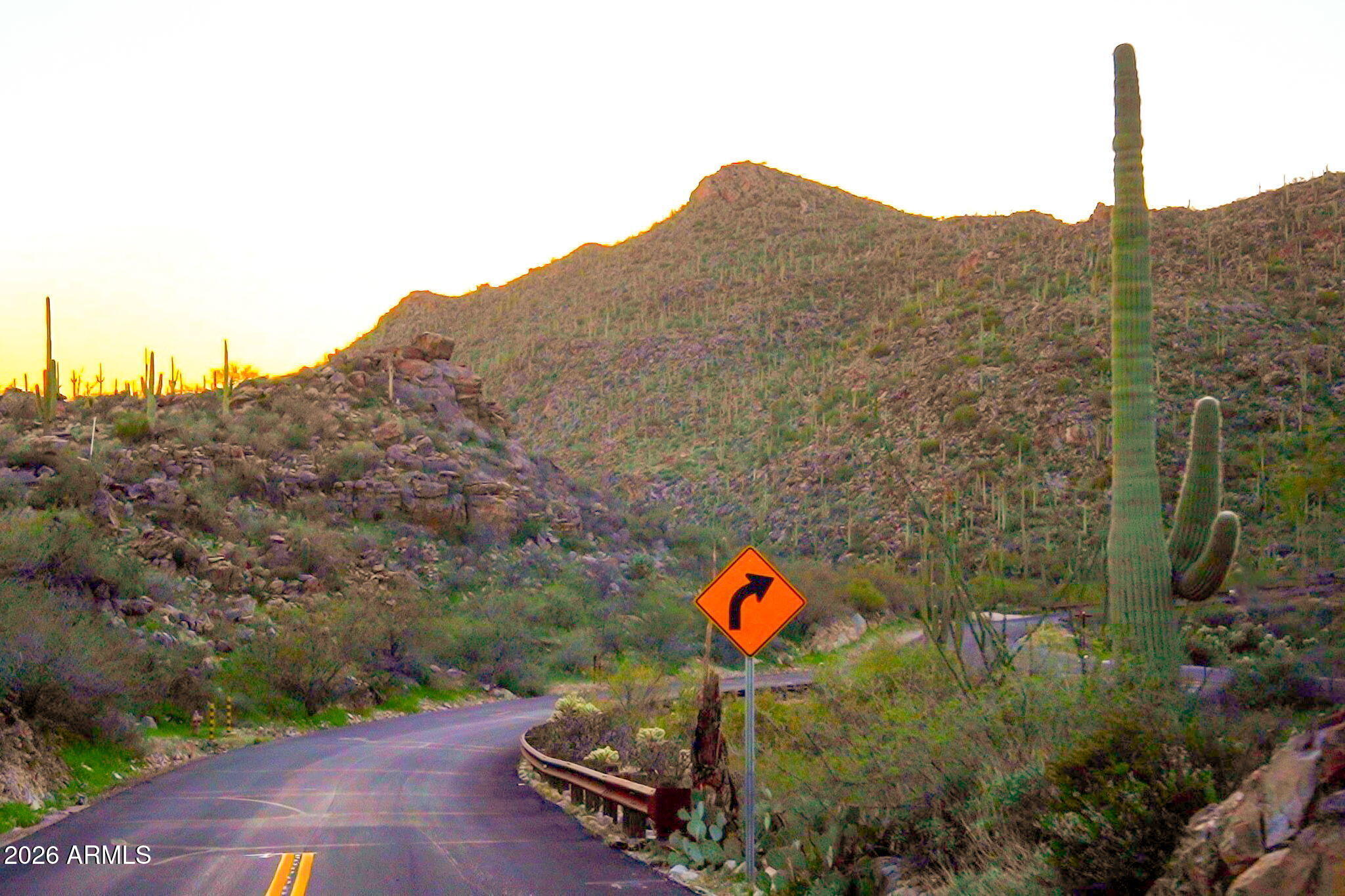SAGUARO RANCH - Land
