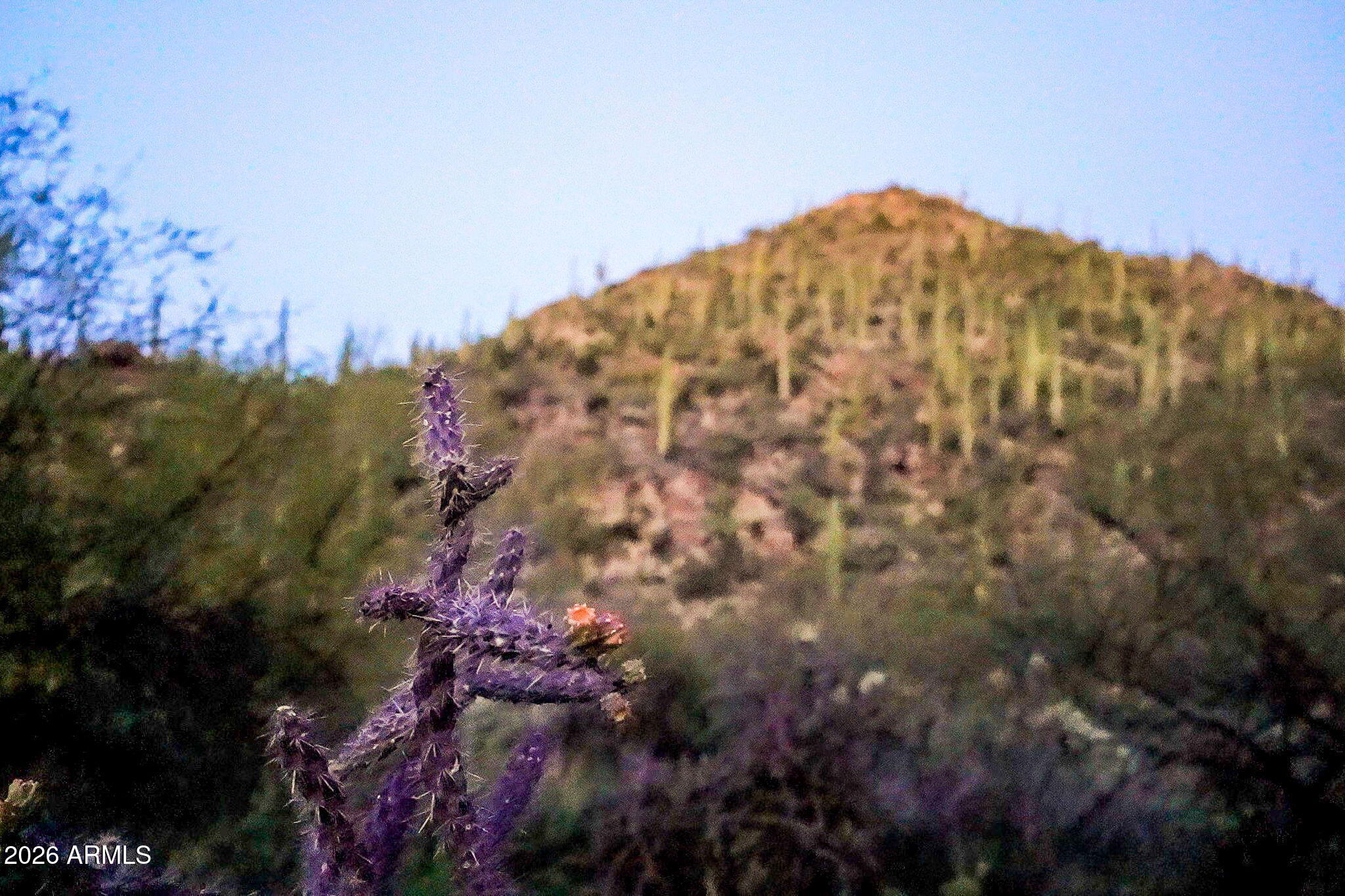 SAGUARO RANCH - Land