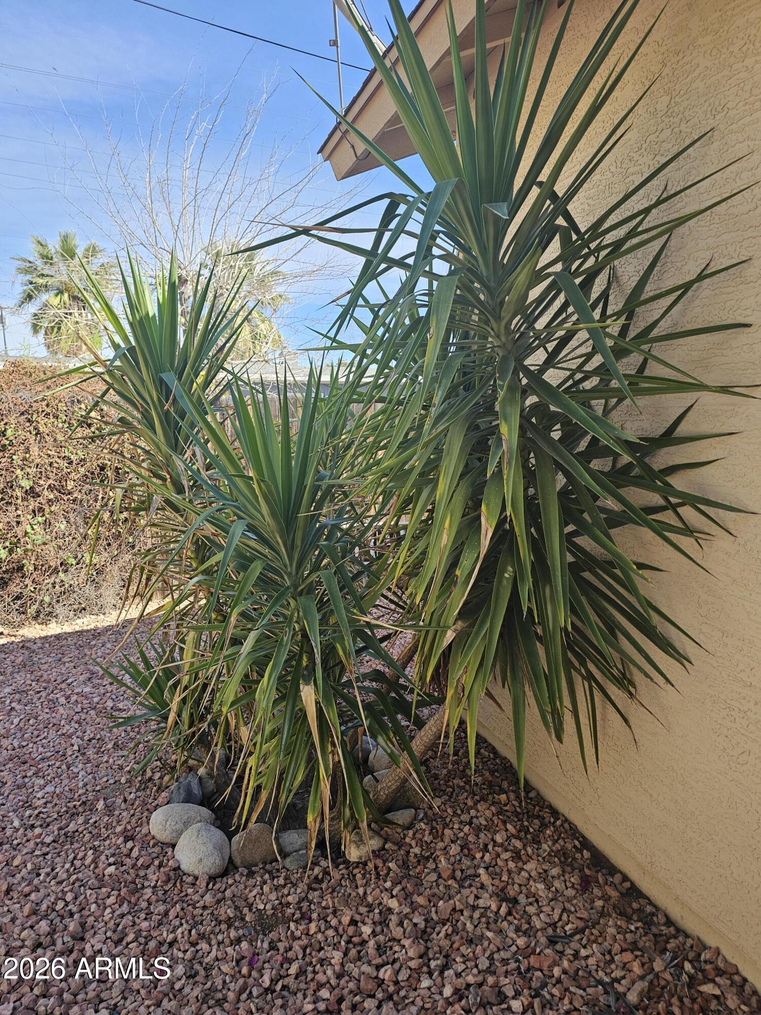 VISTA DEL RIO HEIGHTS - Residential