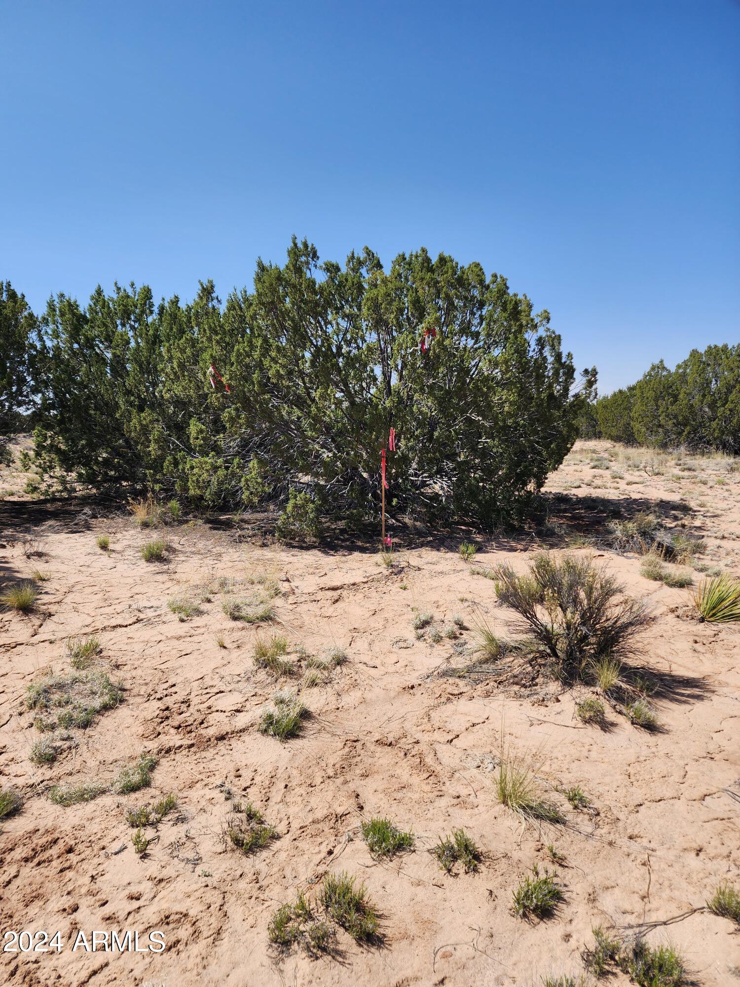 G-Bar Ranch - Land