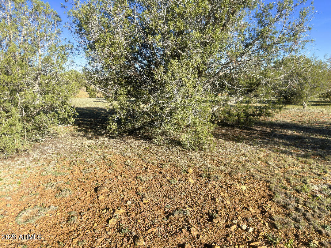 WESTWOOD RANCHES PHASE 7 - Land