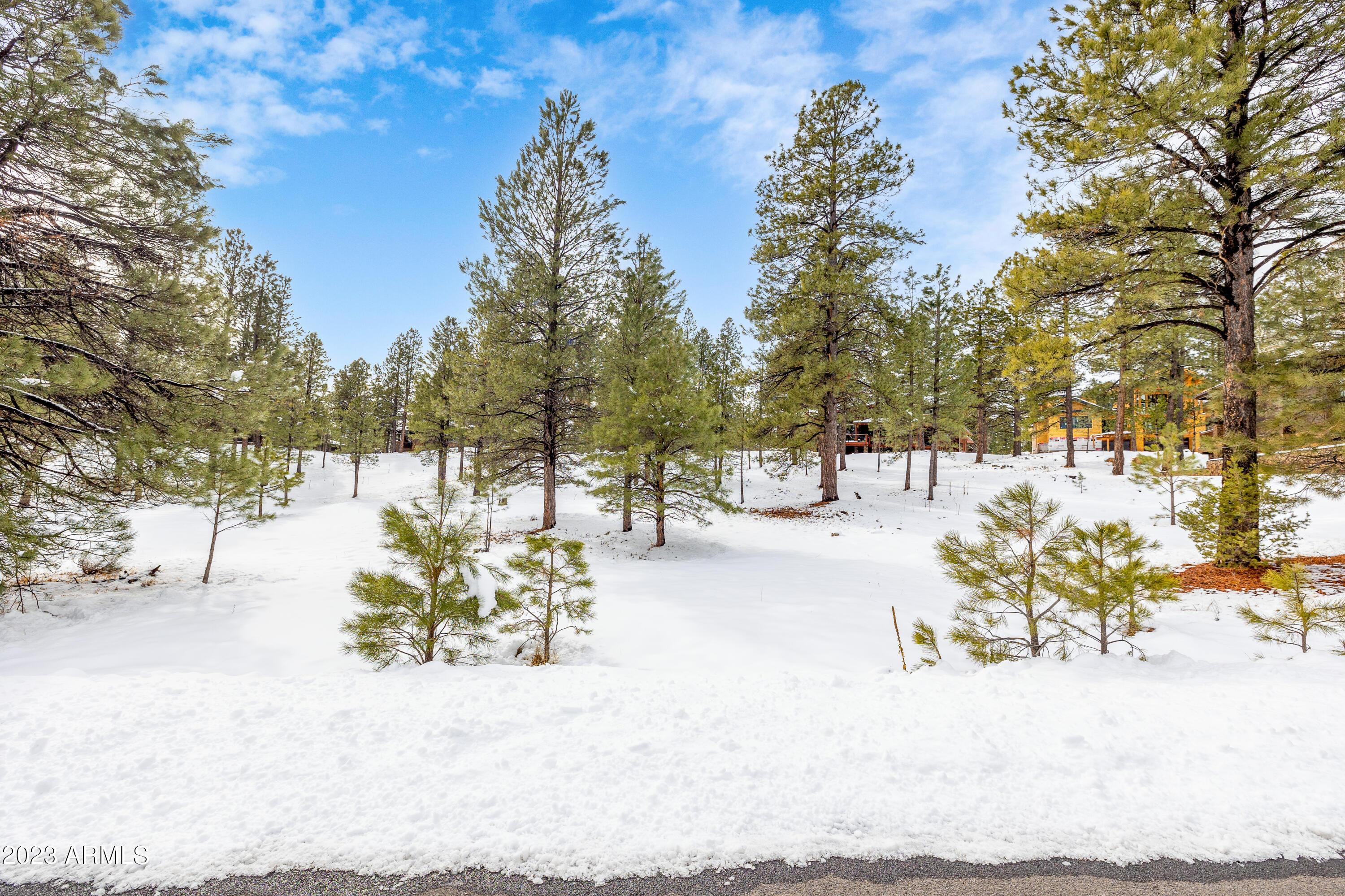 ESTATES AT PINE CANYON - Residential