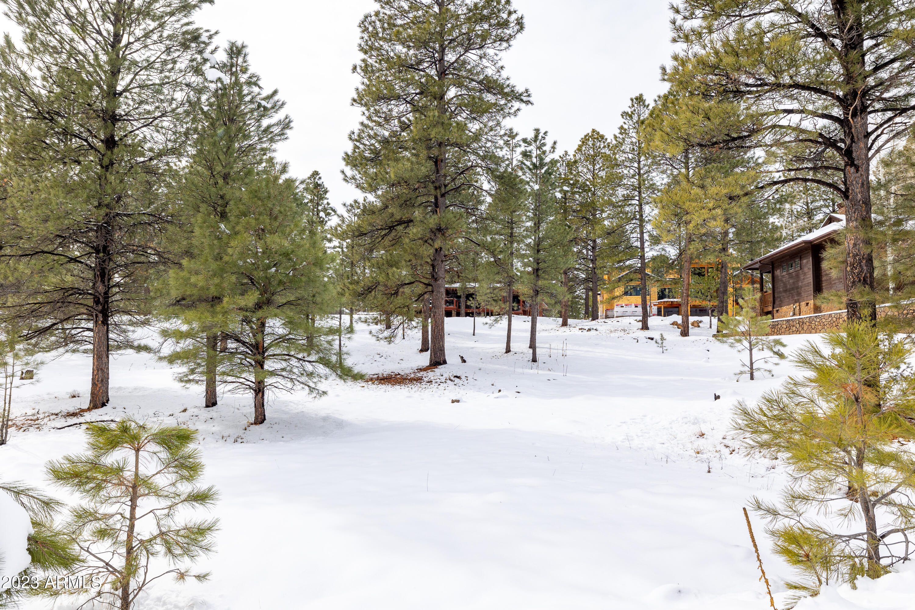 ESTATES AT PINE CANYON - Residential