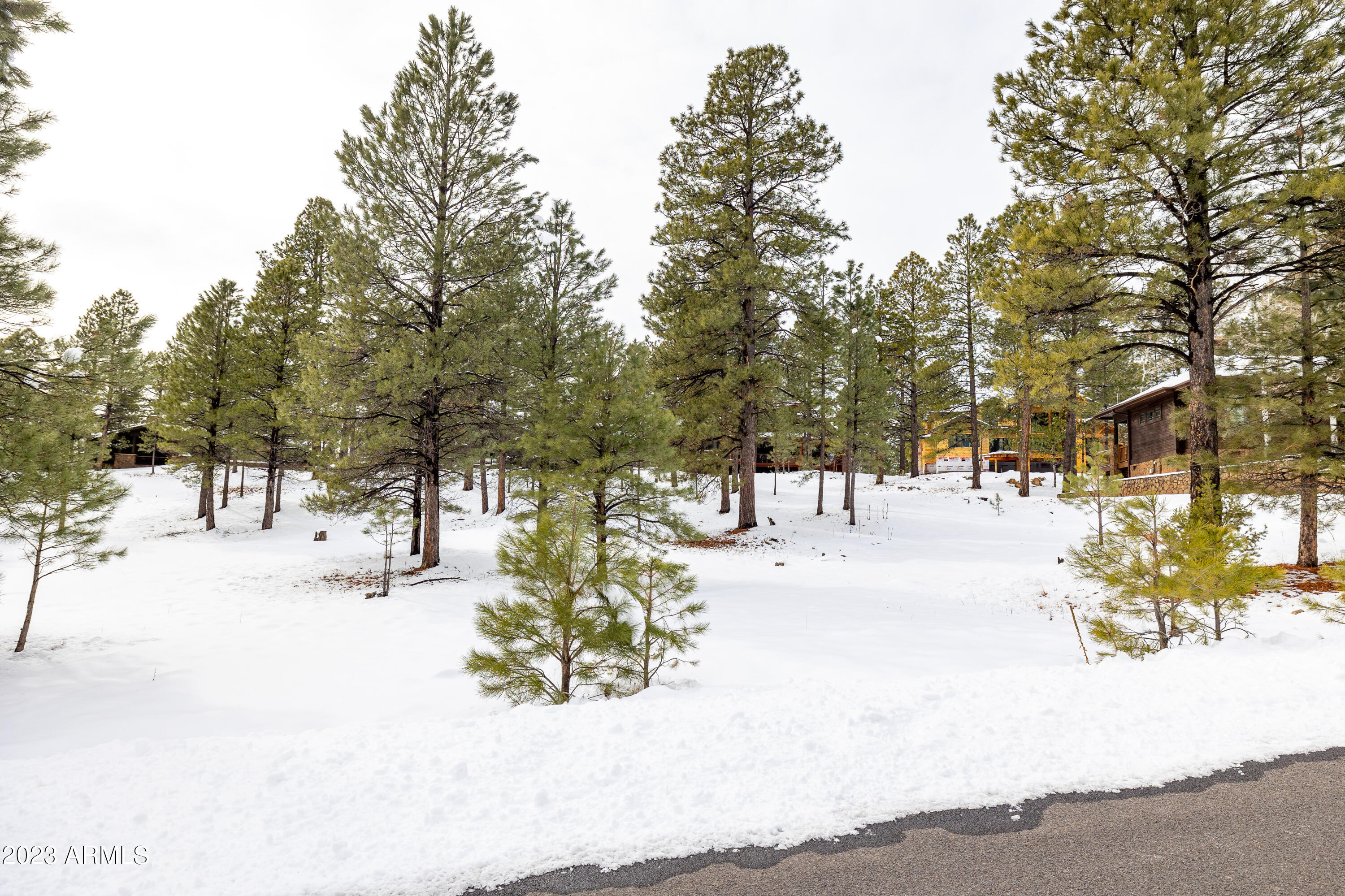 ESTATES AT PINE CANYON - Residential