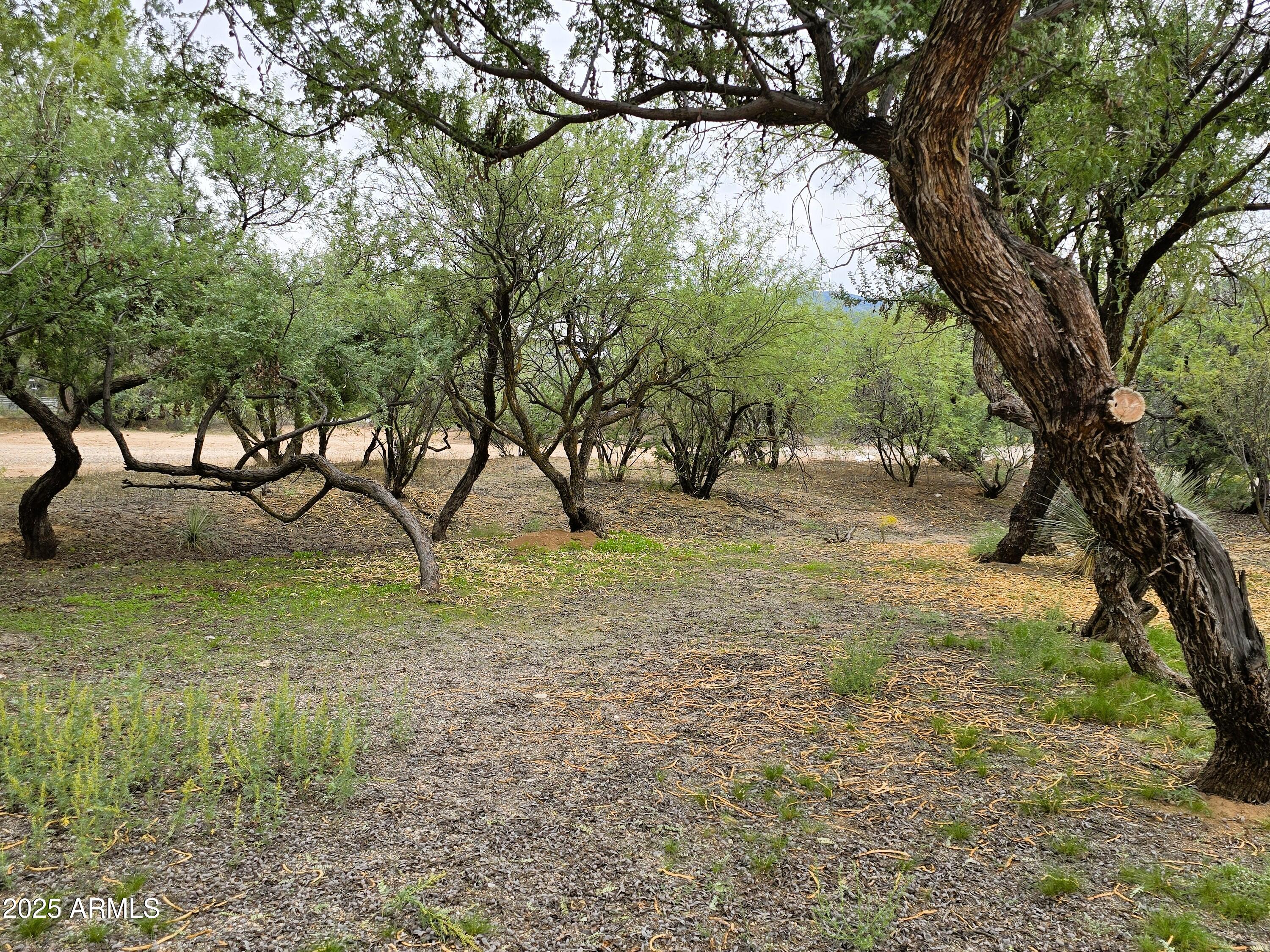Metes and Bounds - no subdivision - Residential