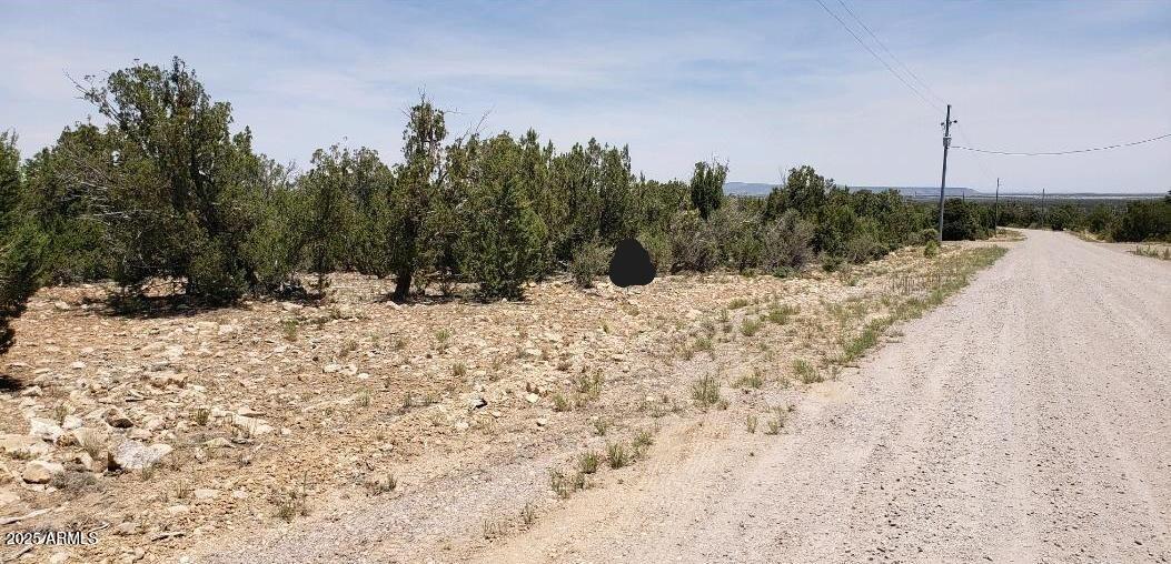 What could be better than waking up every morning to your brand new home nestled on 5 1/4 acres of beautiful Ponderosa  Pines!  Or build for a fabulous family get-a-way!  The further back on the lot you will find yourself more surrounded by Ponderosa Pines!  The water meter is installed and the shared well for thirteen 5 acre lots is located on the SE corner of the lot.  Electric is to the property line and phone is available.  A 32 ft culvert has been installed, as well as a 100 ft of the driveway is leveled and graveled.  Because of zoning and CC&Rs, only site built homes are allowed, no manufactured homes and NO camping. to help ensure that the area will stay looking beautiful!! Take a drive out to this  gorgeous lot and see what you have been missing!