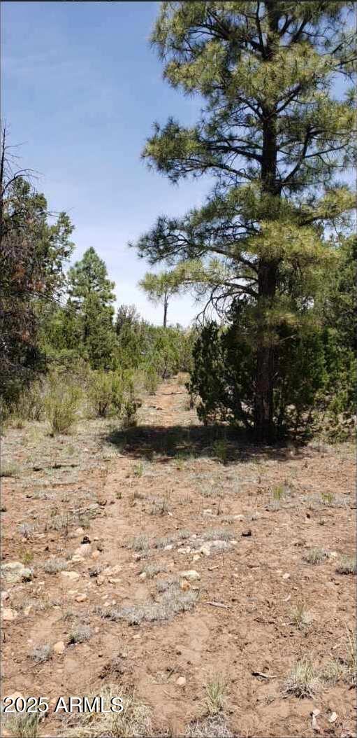 MOGOLLON RANCH 2 - Land