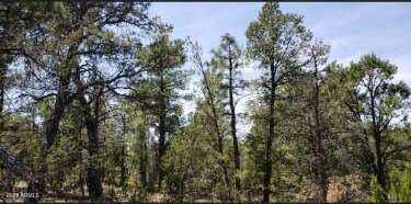 MOGOLLON RANCH 2 - Land