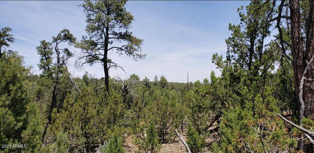 MOGOLLON RANCH 2 - Land