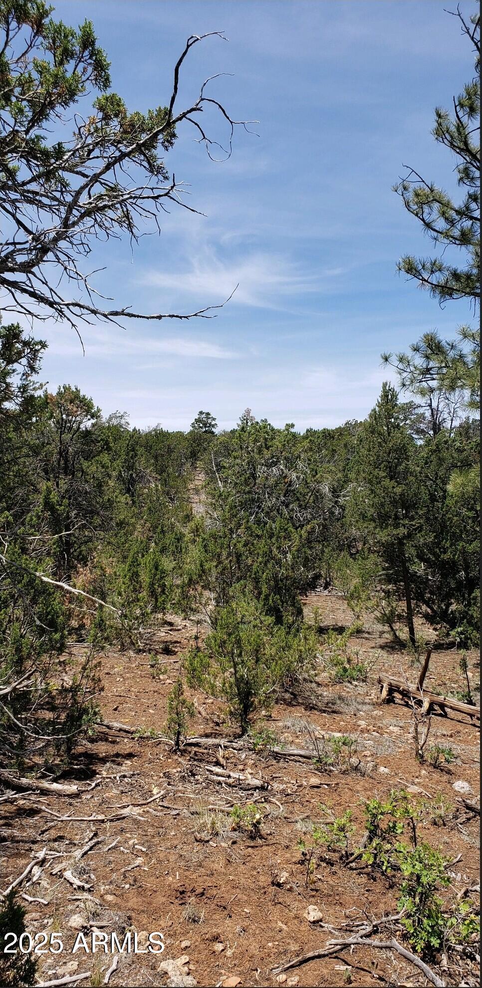 MOGOLLON RANCH 2 - Land