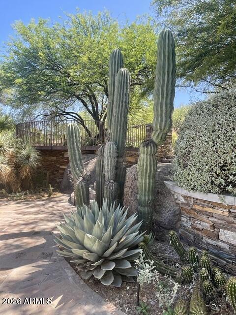 MONTE VISTA RANCH PHASE 1 - Land