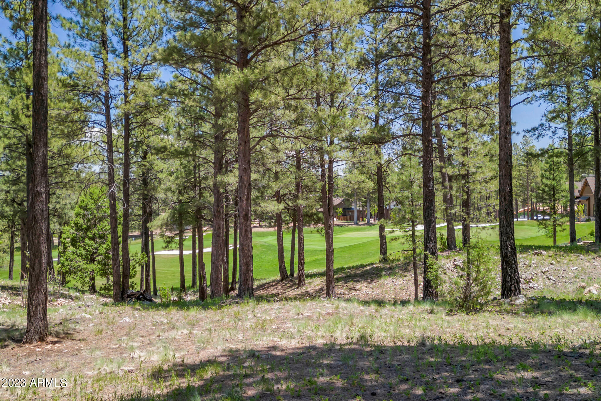 Pine Canyon - Residential