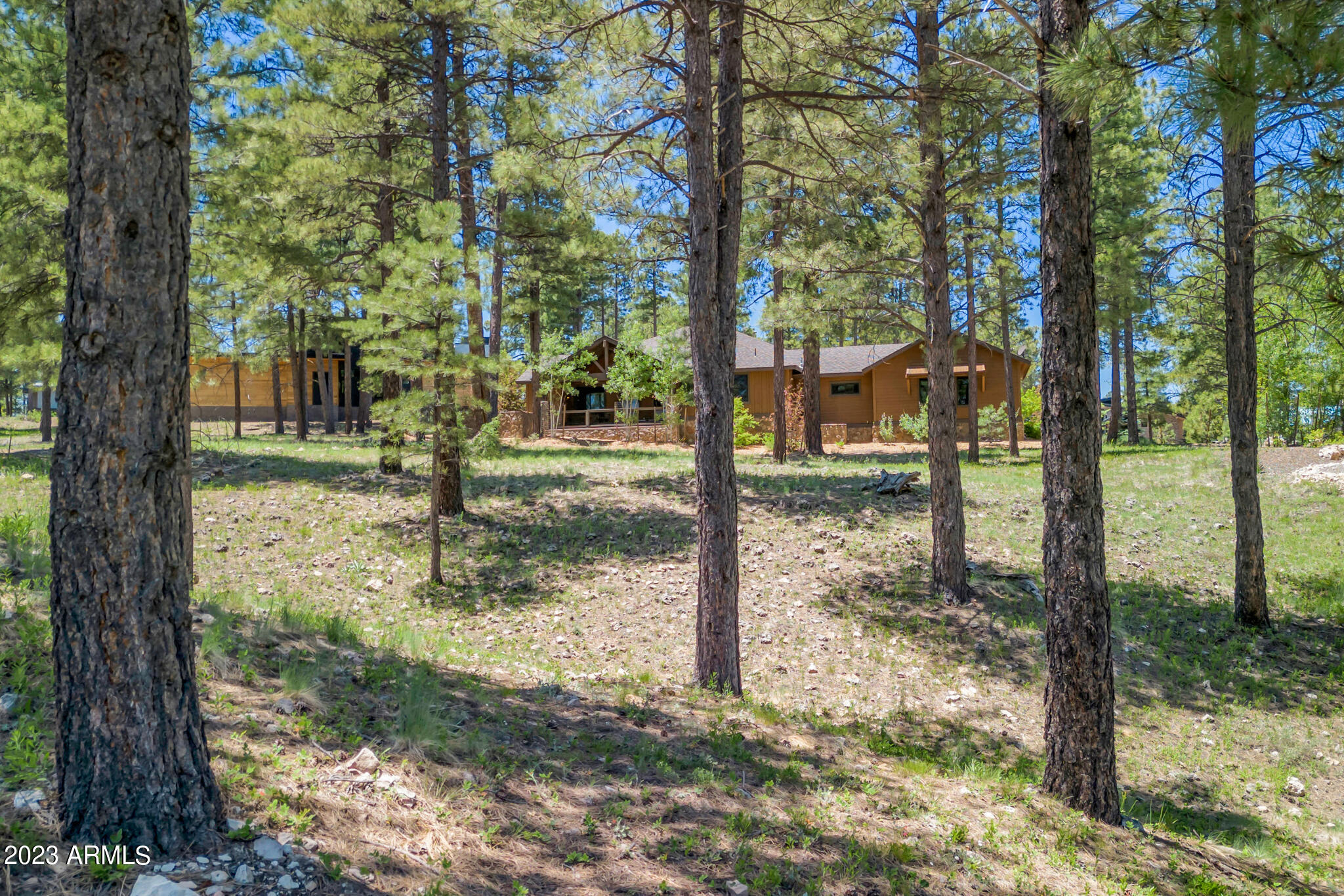 Pine Canyon - Residential