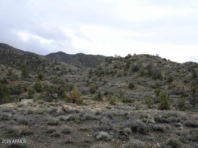 Peacock Mountains - Land
