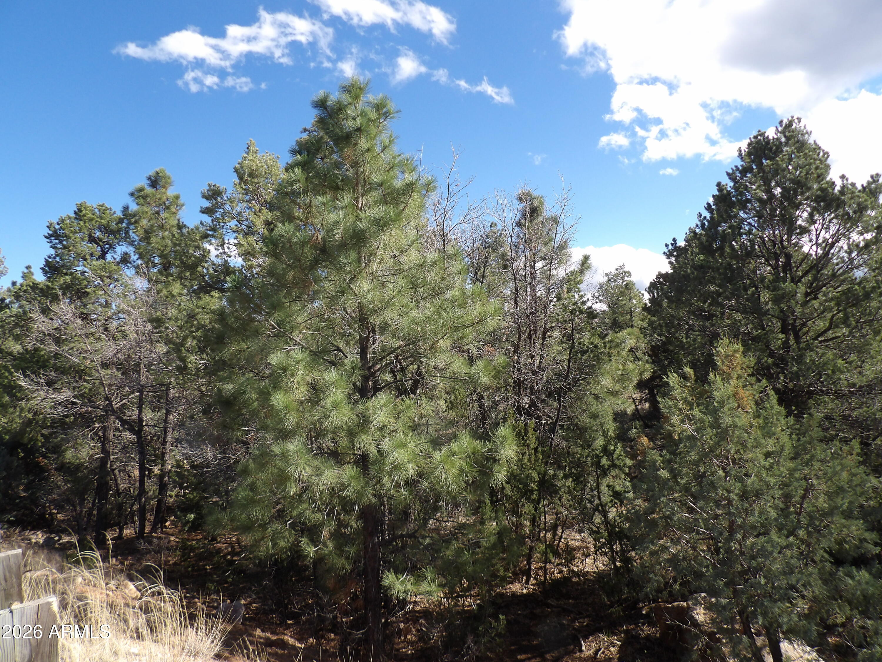 MOGOLLON RANCH 2 - Land