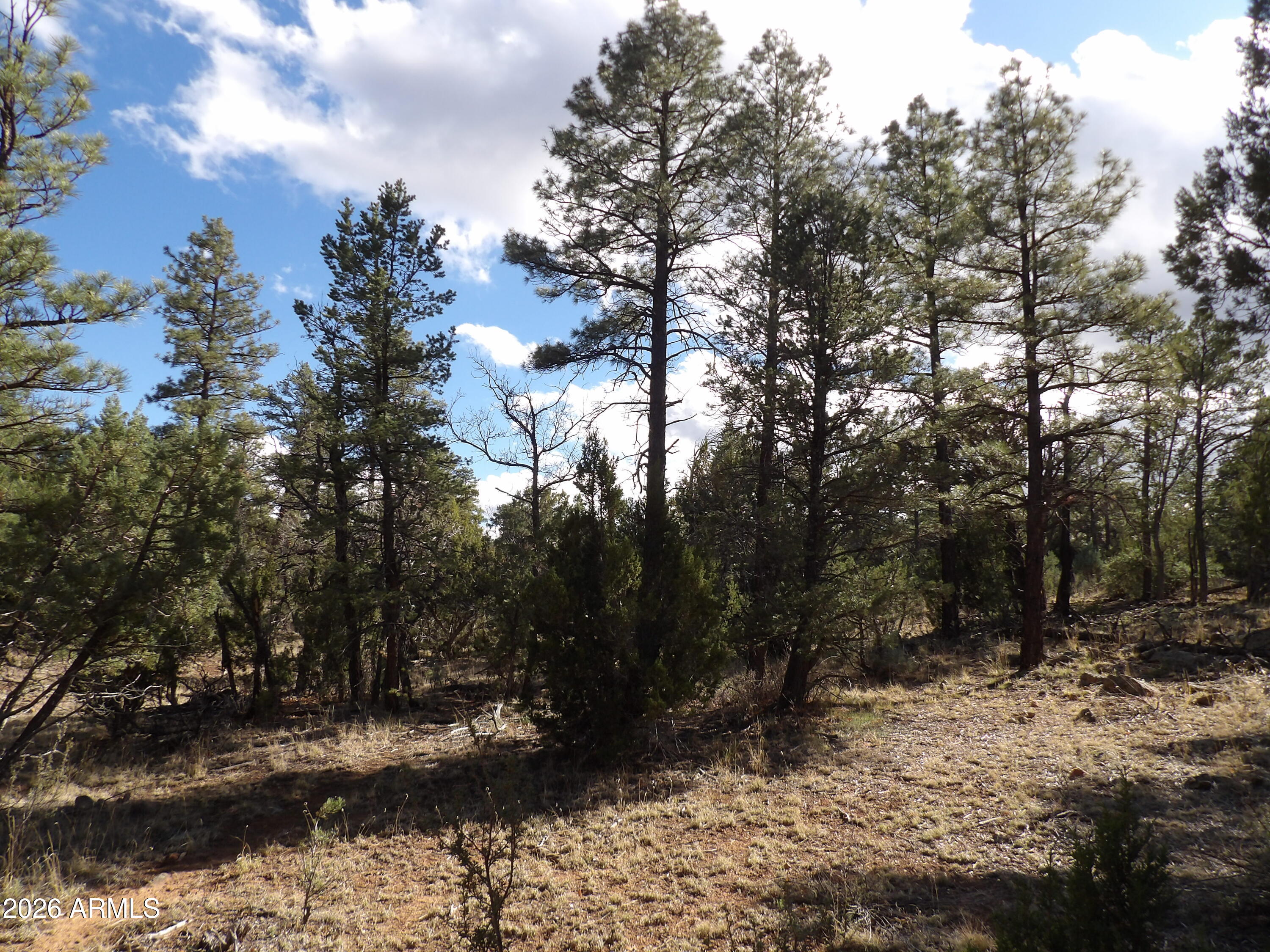 MOGOLLON RANCH 2 - Land