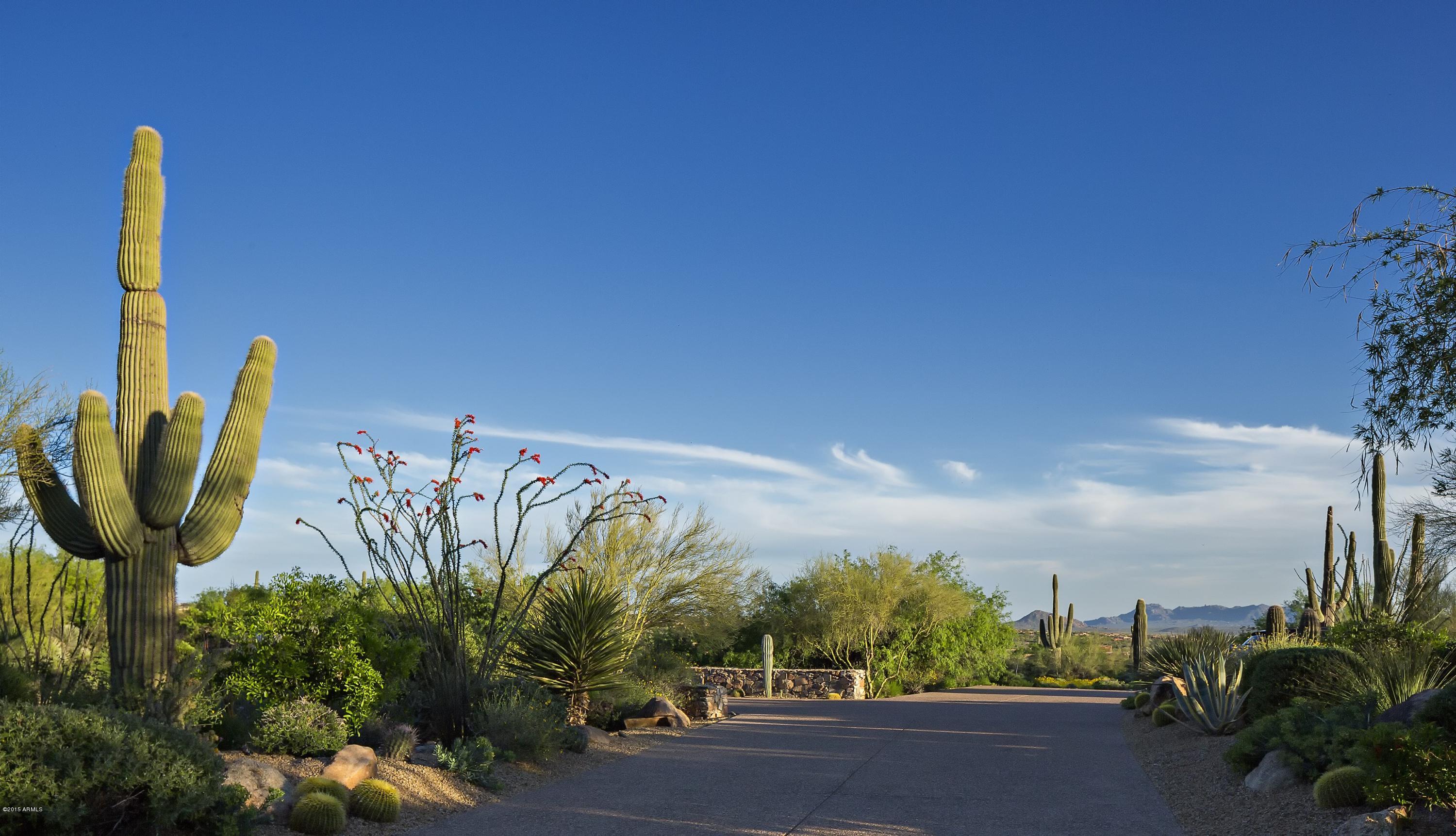 DESERT MOUNTAIN PHASE 3 UNIT 29 - Residential