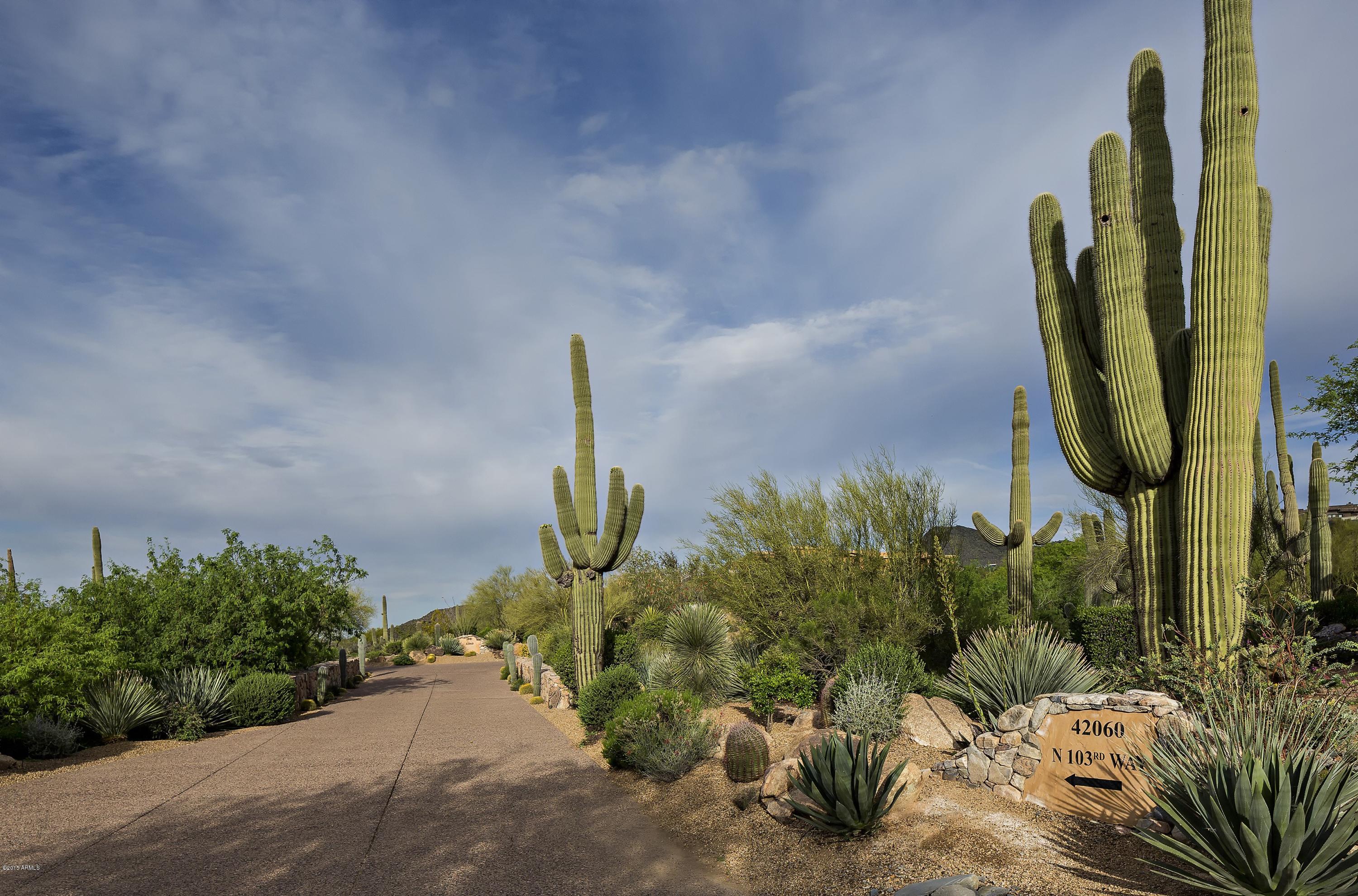 DESERT MOUNTAIN PHASE 3 UNIT 29 - Residential