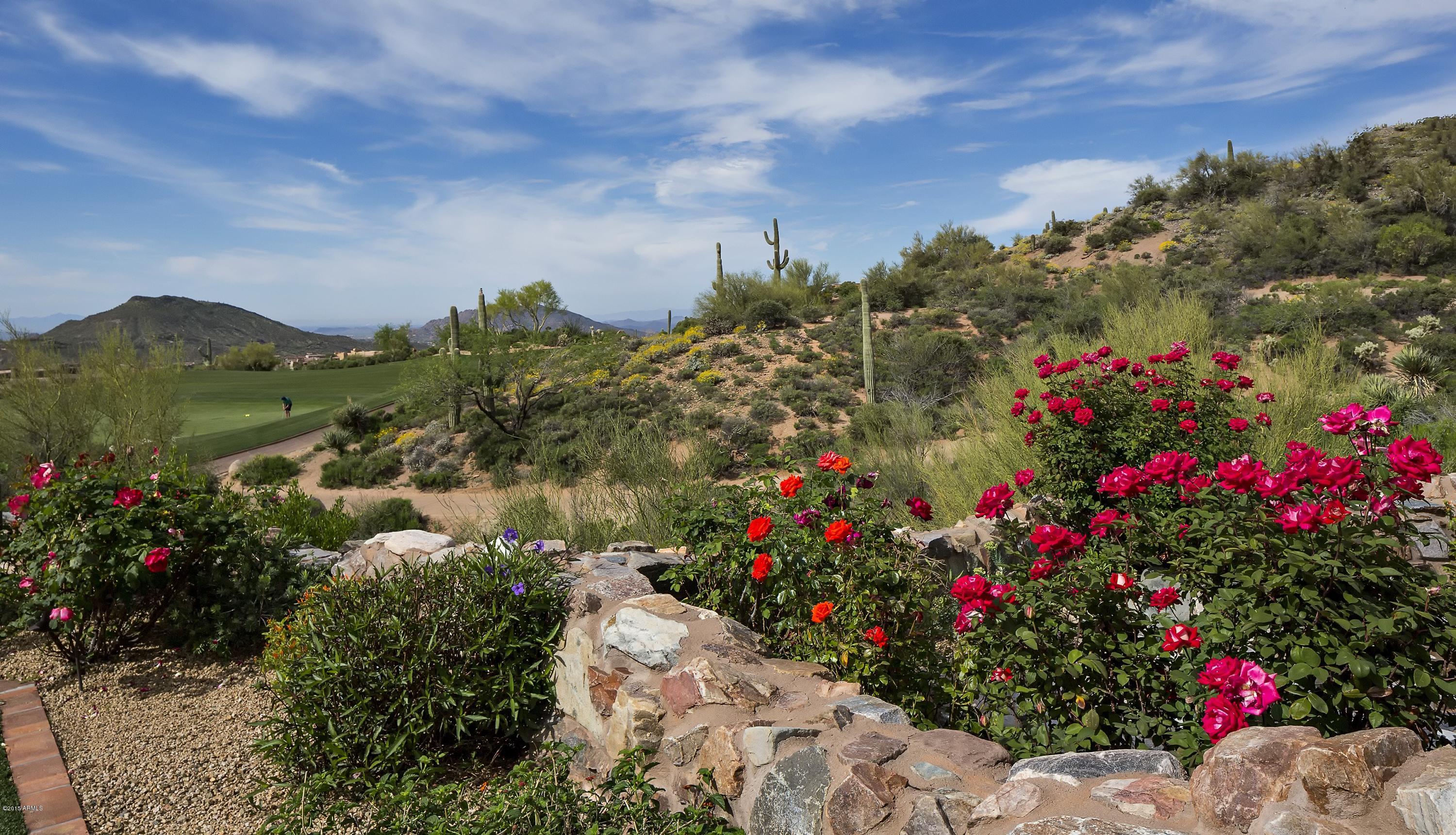 DESERT MOUNTAIN PHASE 3 UNIT 29 - Residential