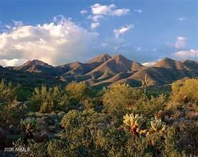MCDOWELL MOUNTAIN RANCH - Residential