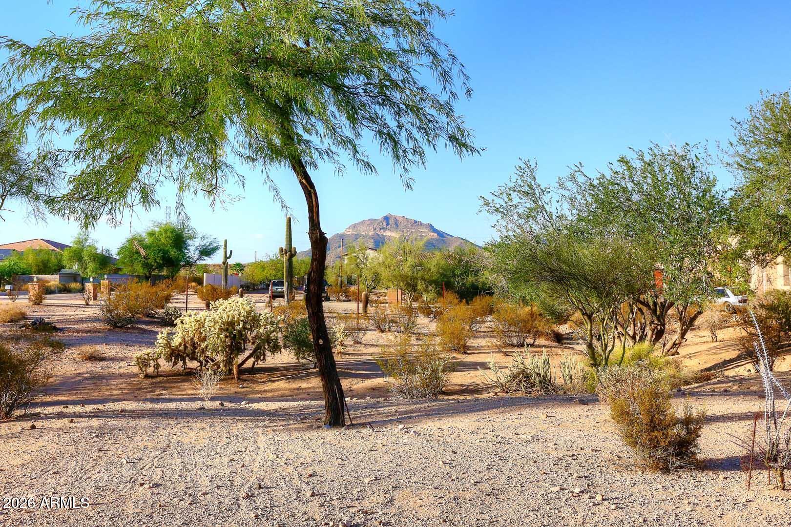 Custom home - 1.36 Acres - NO HOA - County Island - Residential