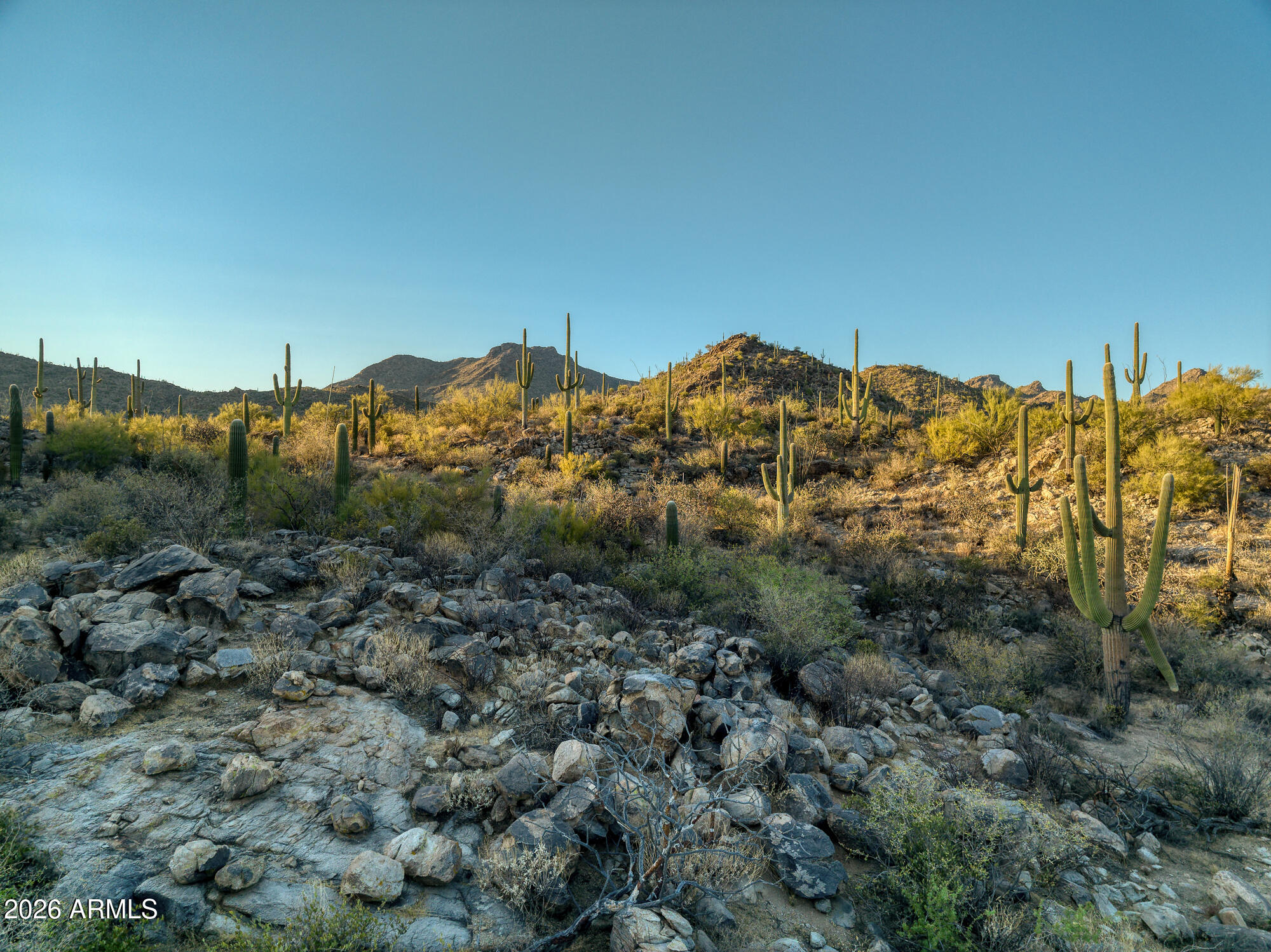 Saguaro Ranch South Amended - Land