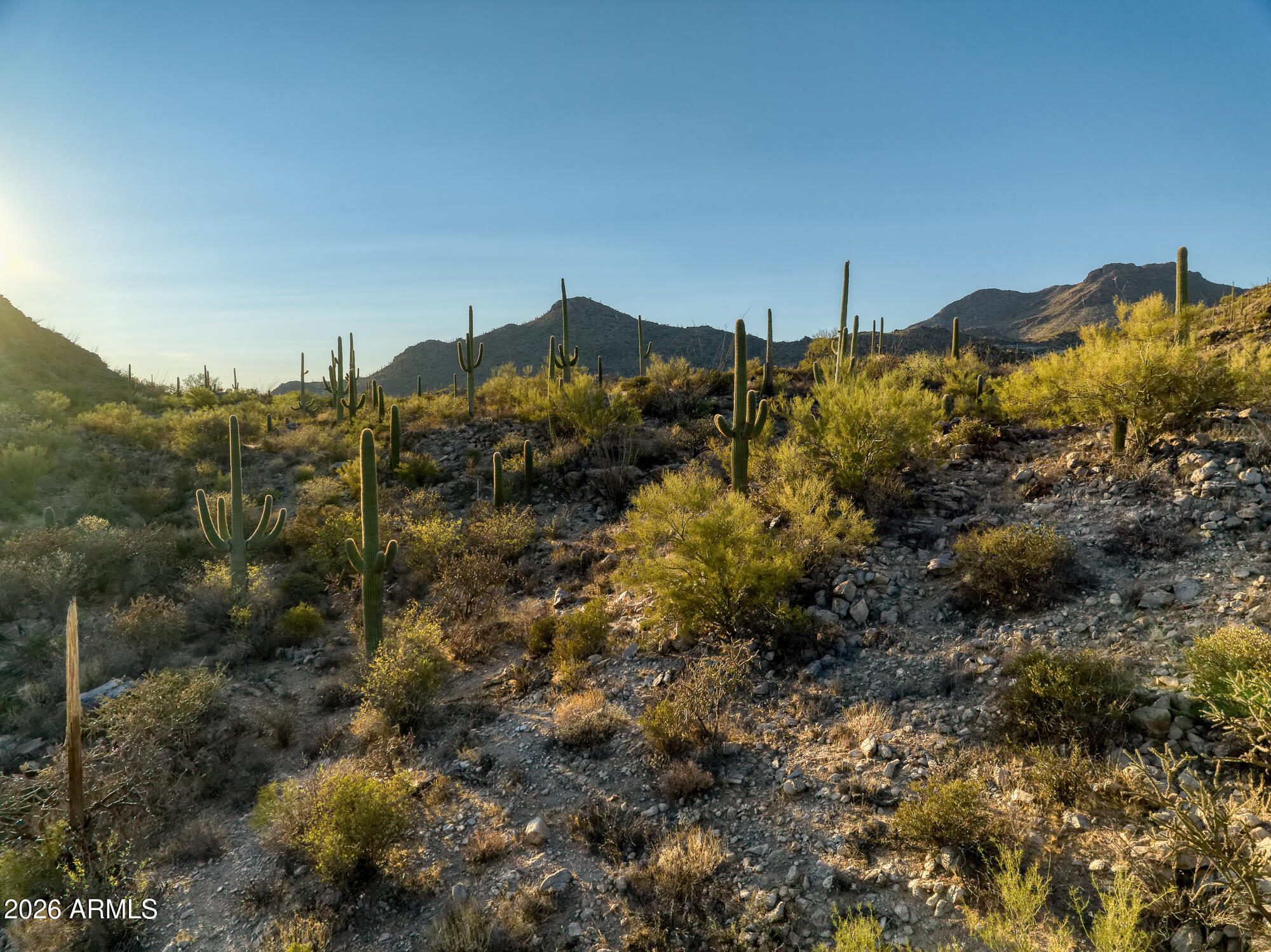 Saguaro Ranch South Amended - Land