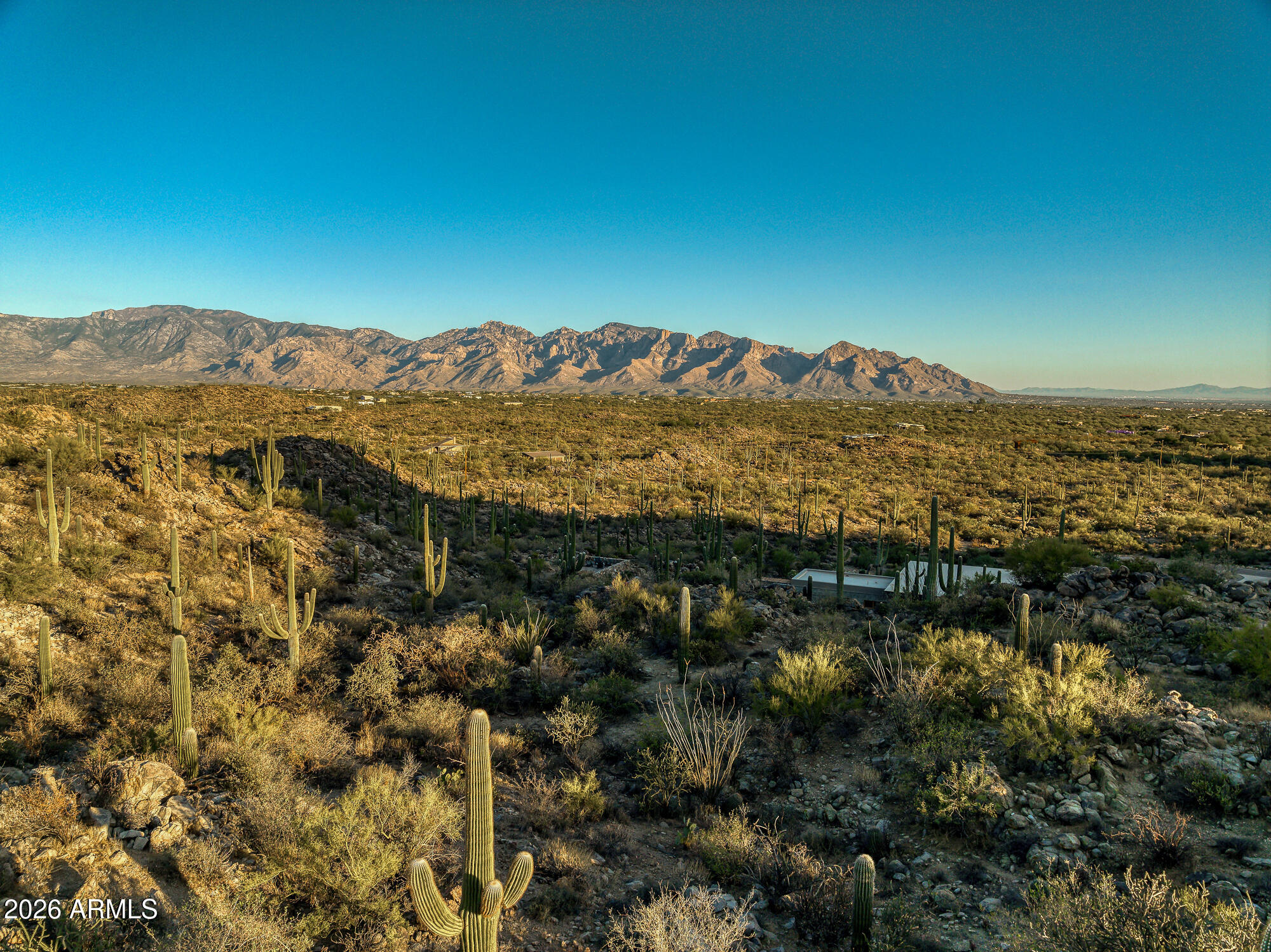 Saguaro Ranch South Amended - Land