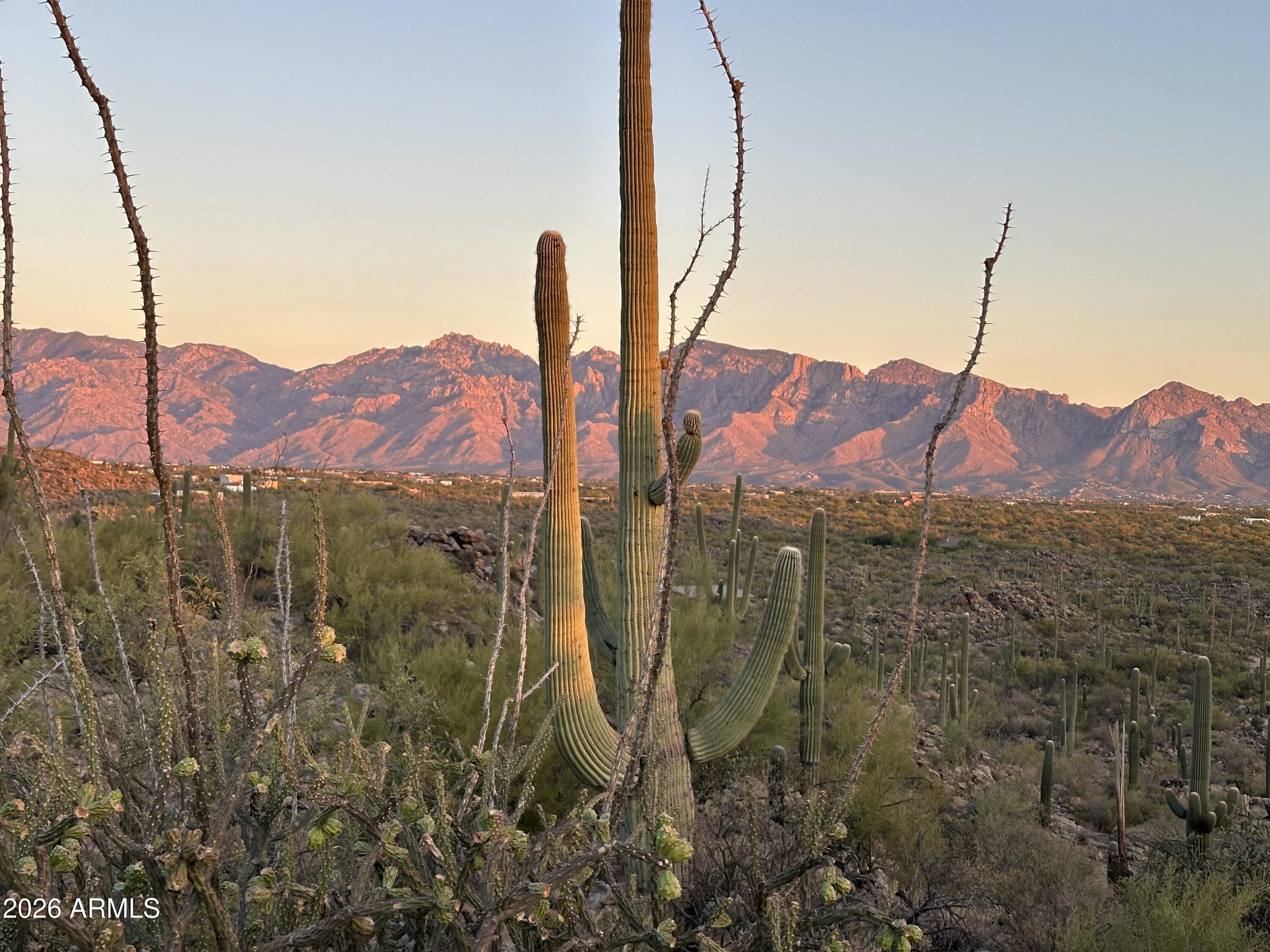 Saguaro Ranch South Amended - Land