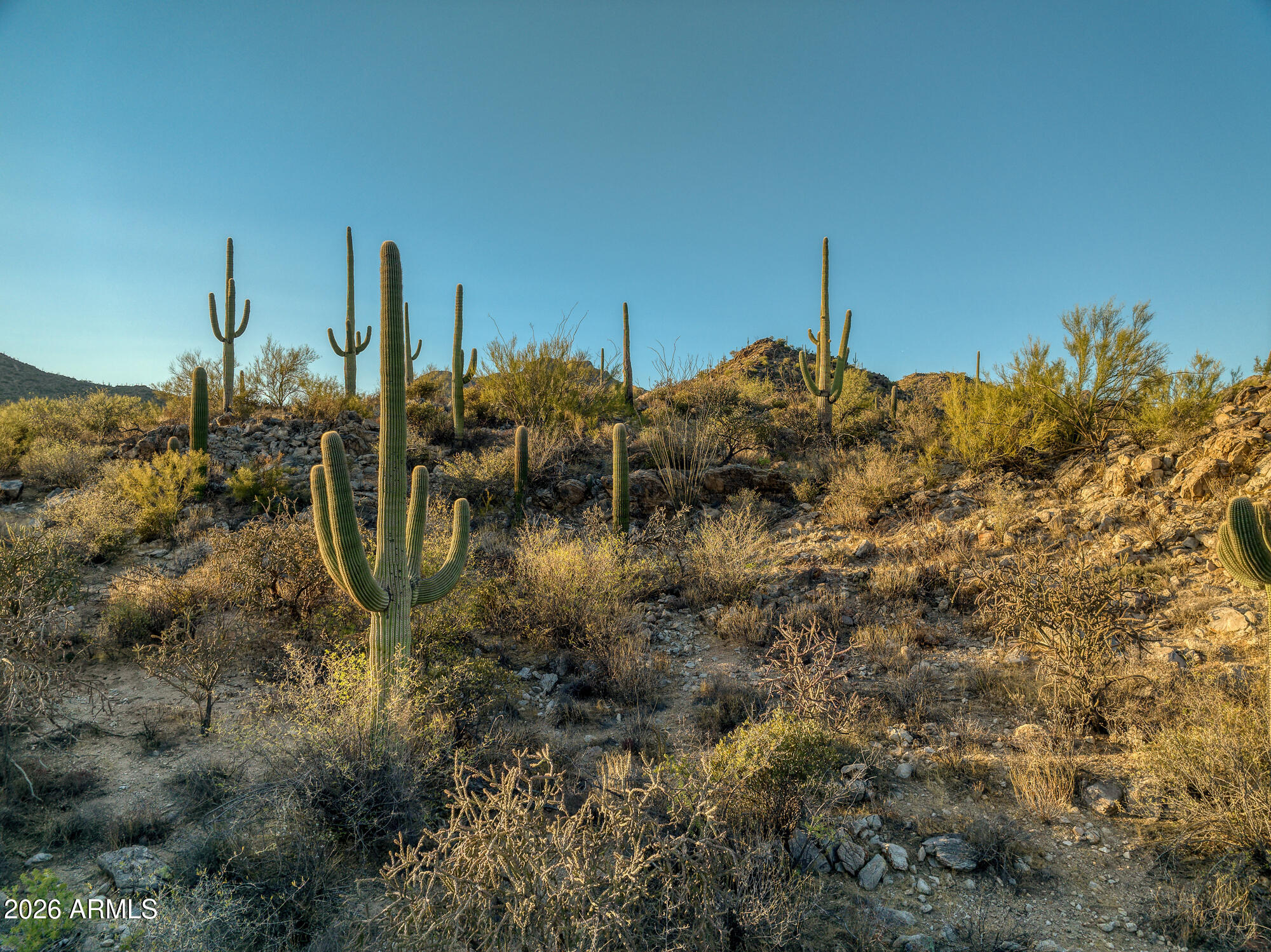 Saguaro Ranch South Amended - Land