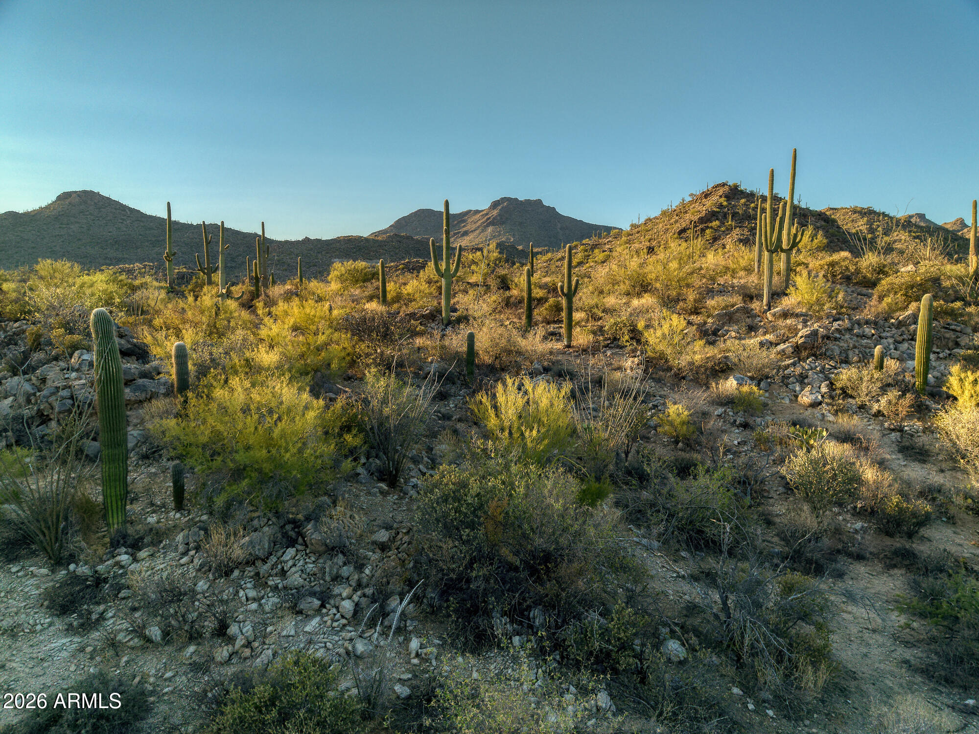 Saguaro Ranch South Amended - Land