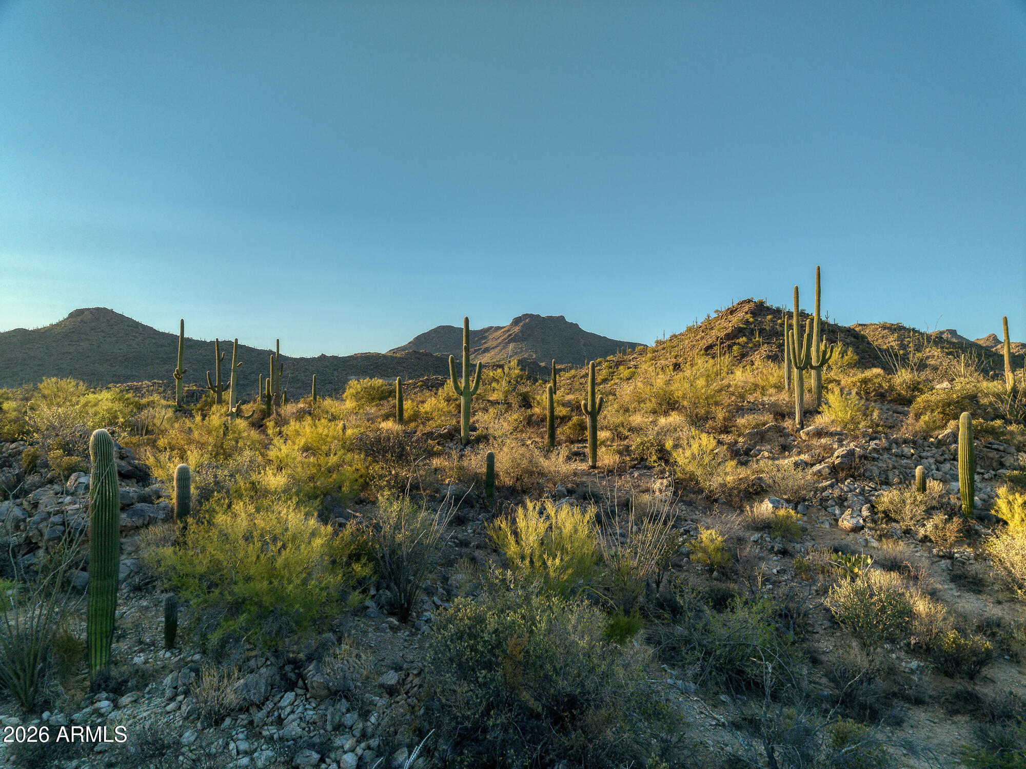 Saguaro Ranch South Amended - Land