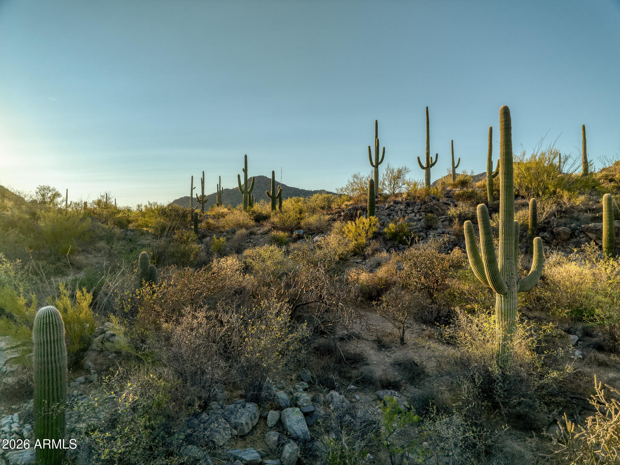 Saguaro Ranch South Amended - Land