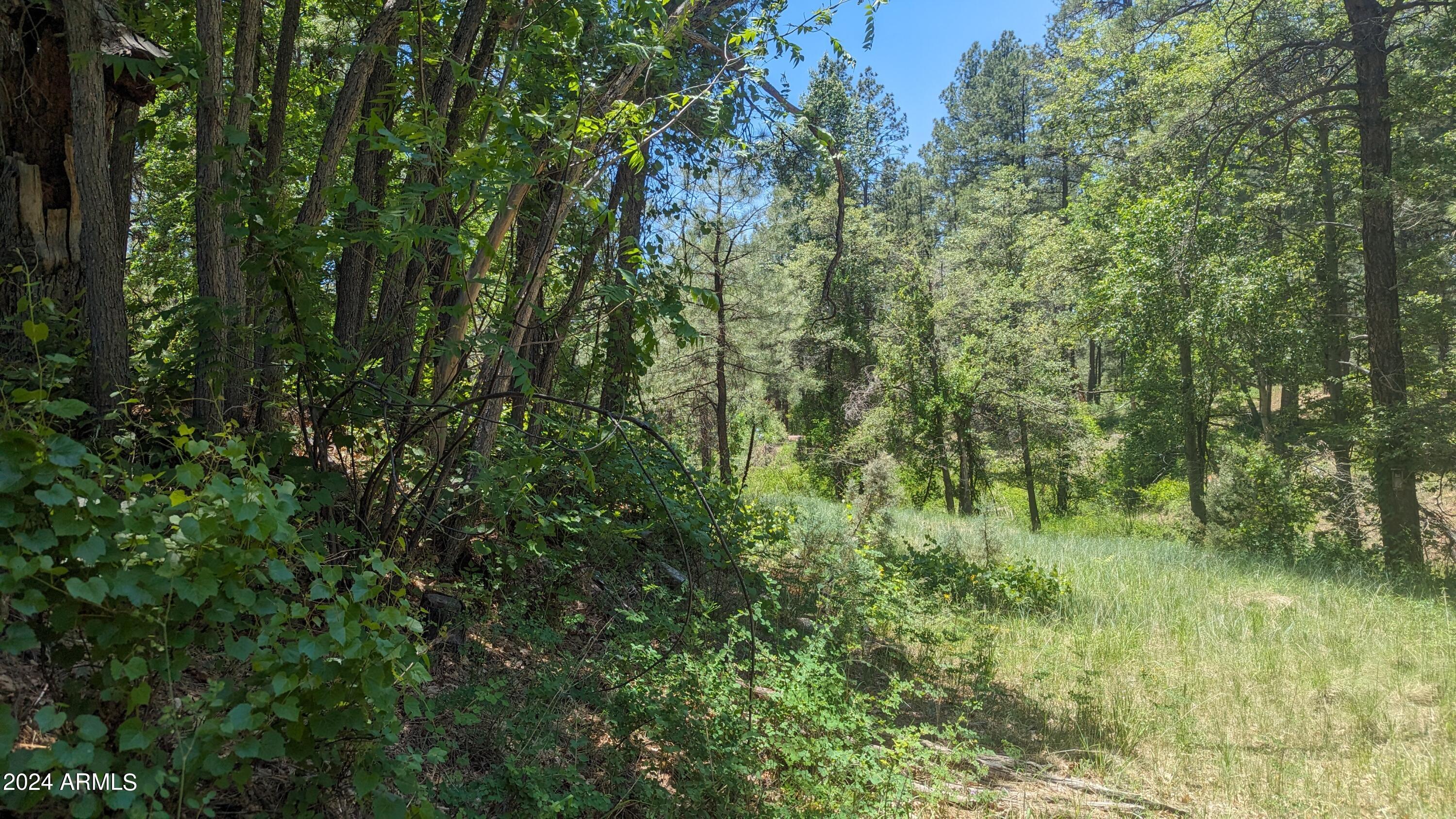 Gordon Canyon - Residential